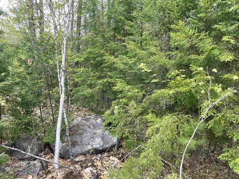 0 Glen Avenue Effingham NH 03882