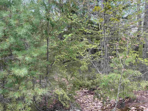 0 Glen Avenue Effingham NH 03882
