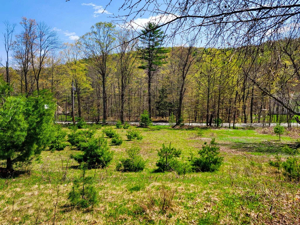 102 Turnpike Road Strafford VT 05072