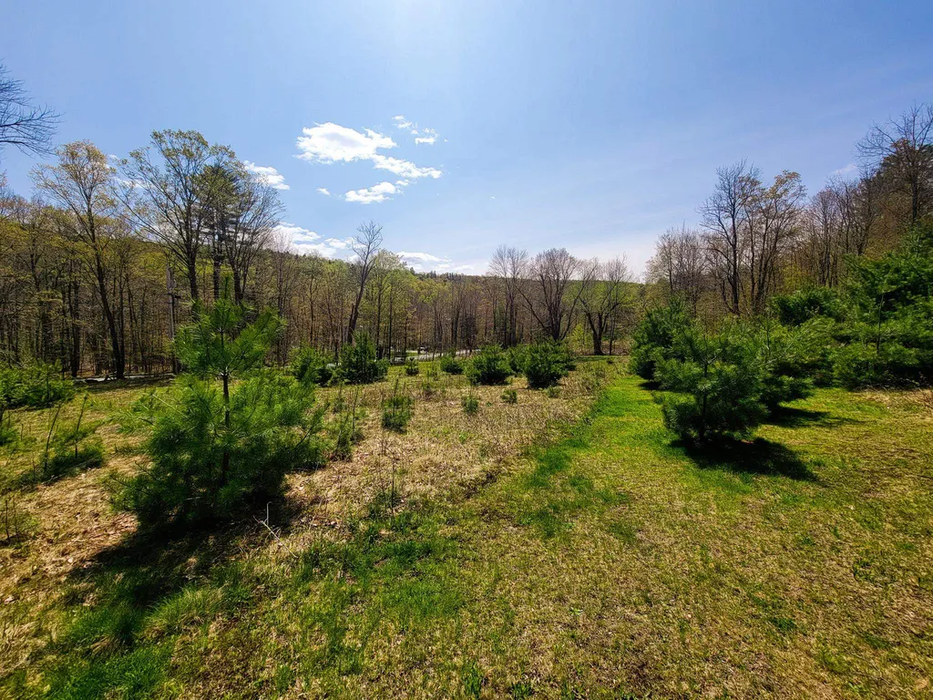 102 Turnpike Road Strafford VT 05072