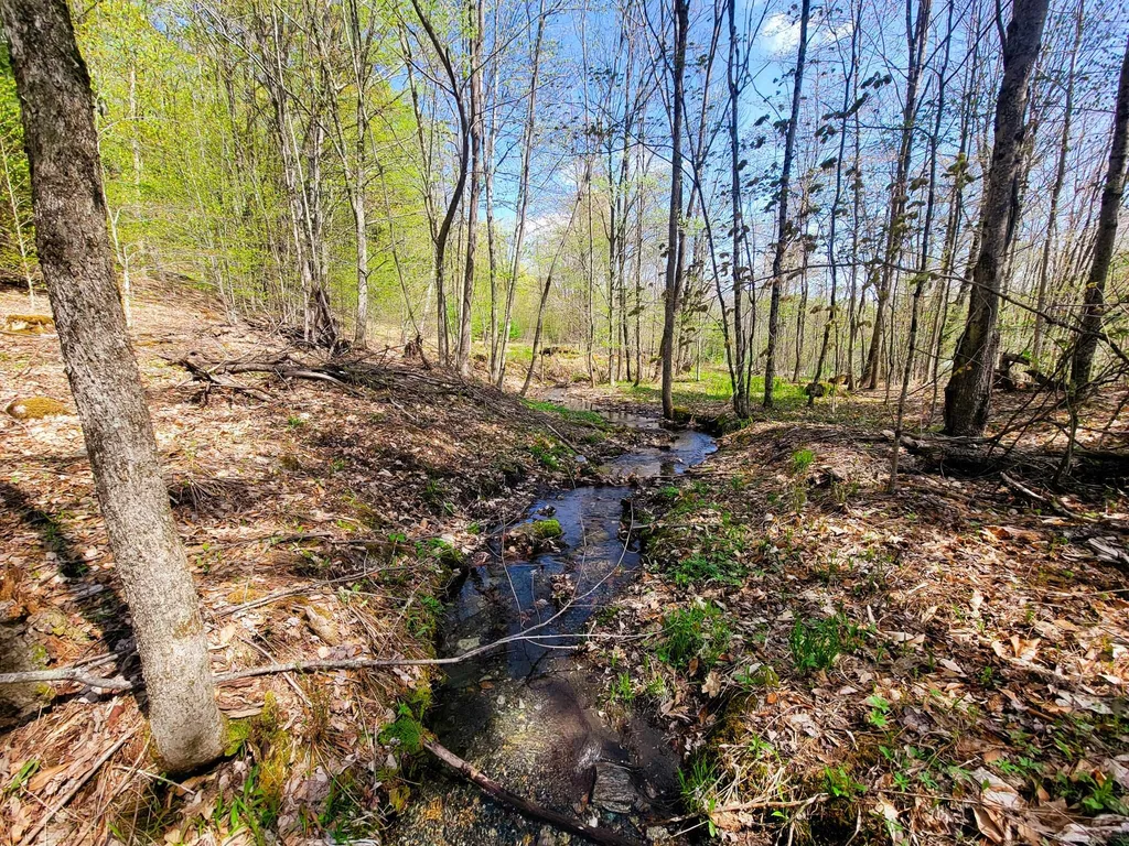 102 Turnpike Road Strafford VT 05072