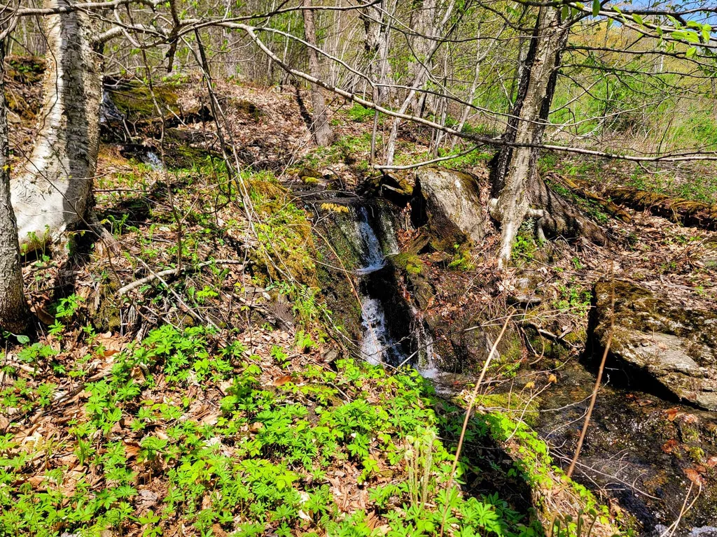 102 Turnpike Road Strafford VT 05072