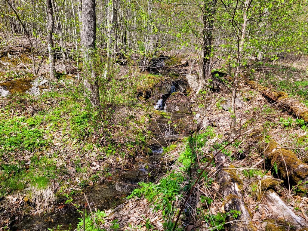 102 Turnpike Road Strafford VT 05072