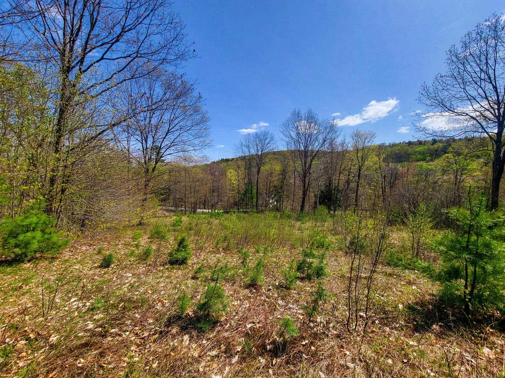 102 Turnpike Road Strafford VT 05072