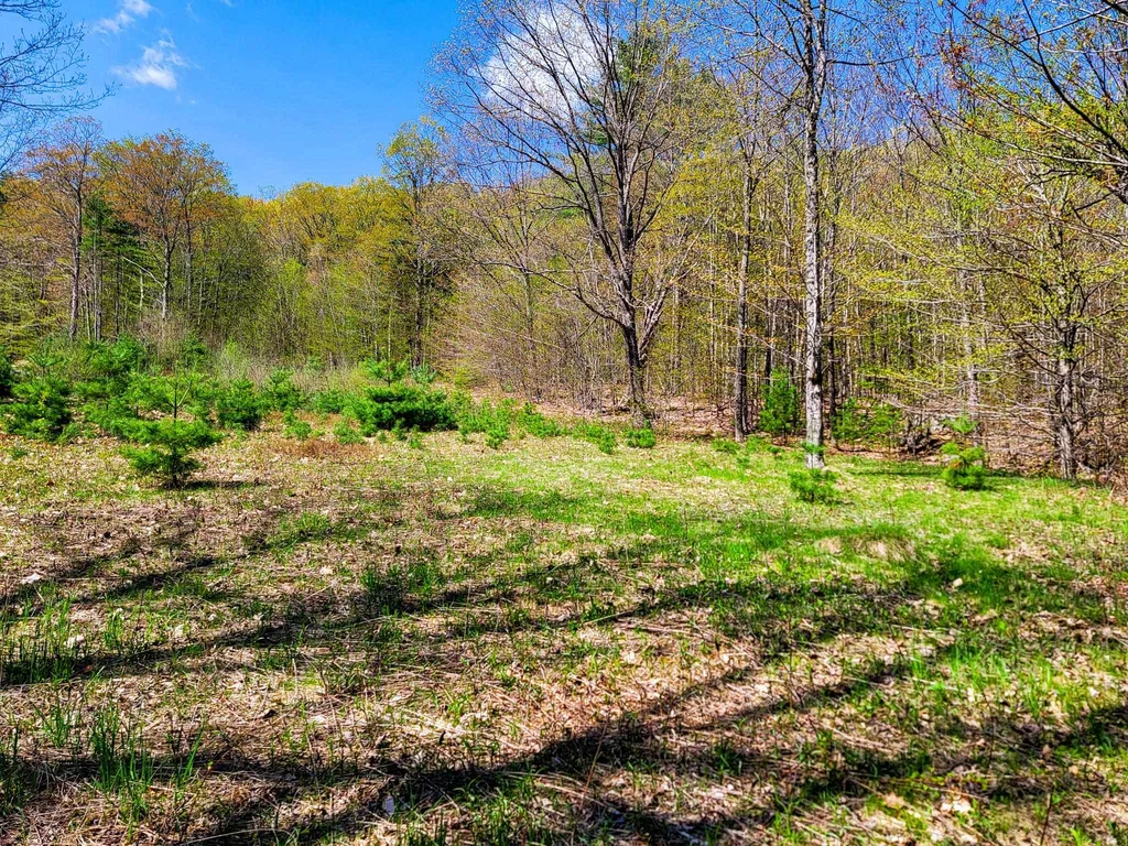 102 Turnpike Road Strafford VT 05072