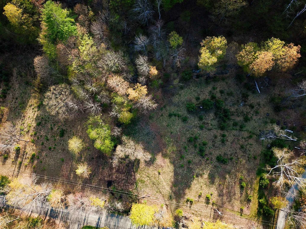 102 Turnpike Road Strafford VT 05072