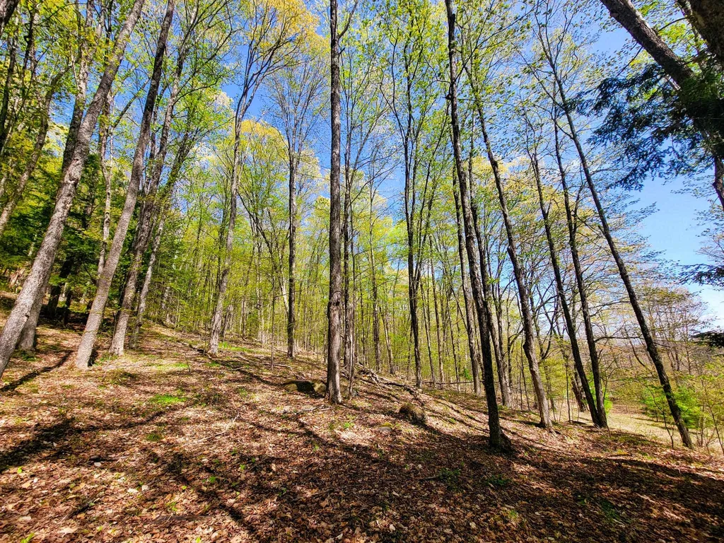 102 Turnpike Road Strafford VT 05072