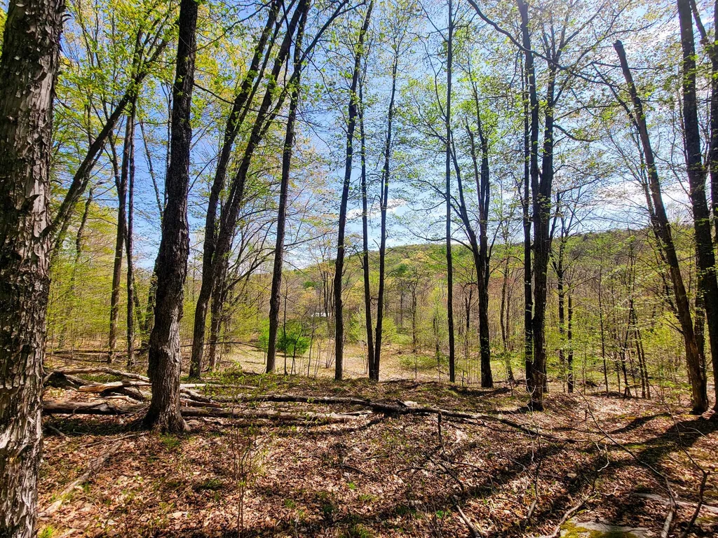 102 Turnpike Road Strafford VT 05072