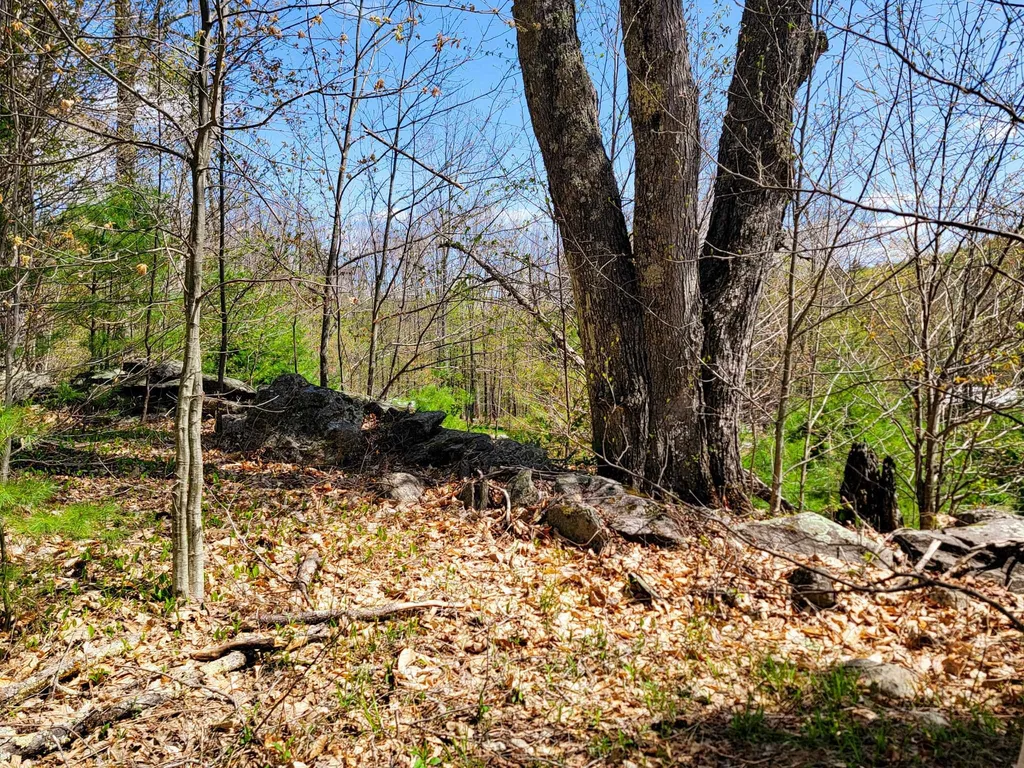 102 Turnpike Road Strafford VT 05072