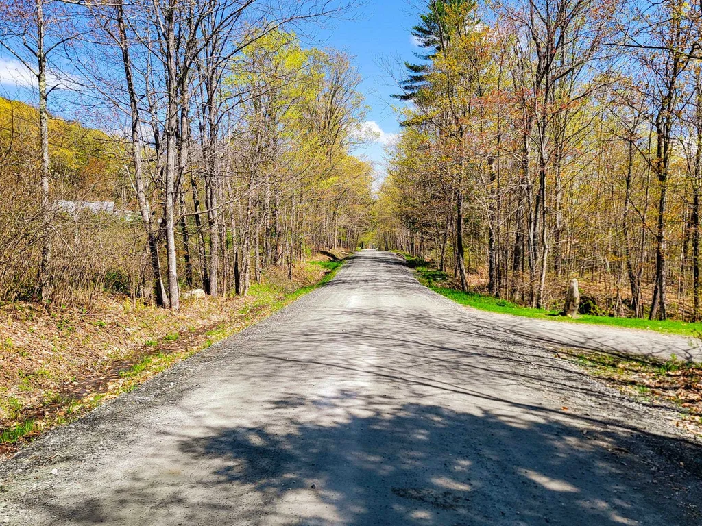 102 Turnpike Road Strafford VT 05072