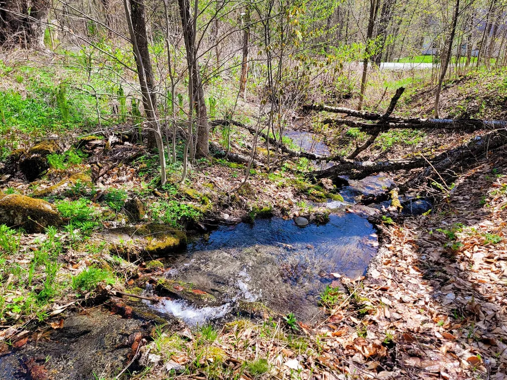 102 Turnpike Road Strafford VT 05072
