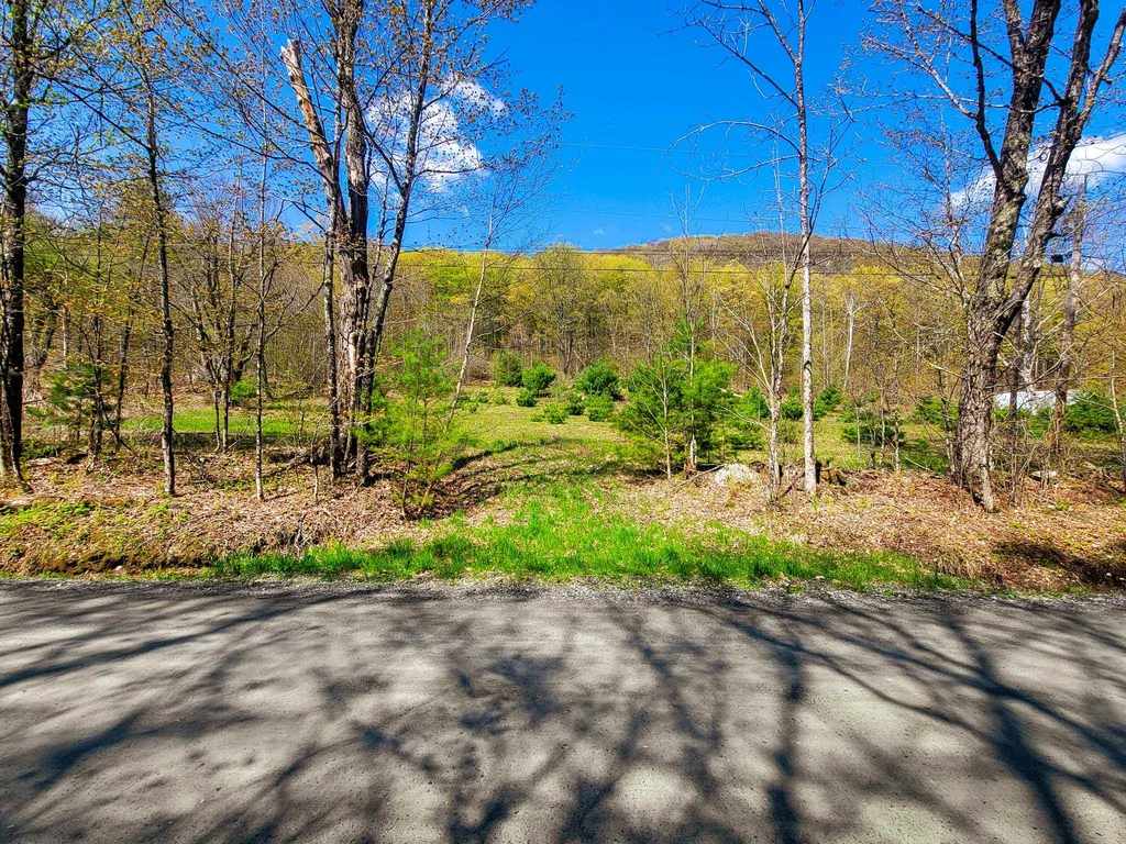 102 Turnpike Road Strafford VT 05072
