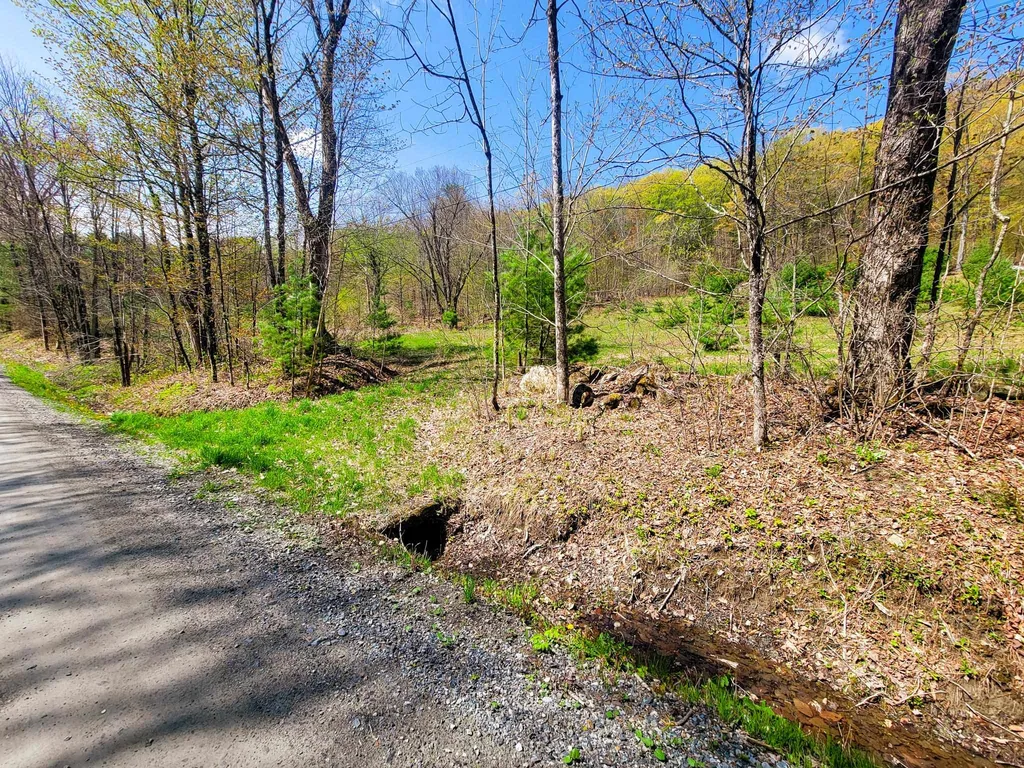 102 Turnpike Road Strafford VT 05072