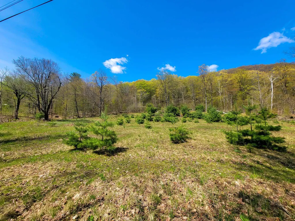 102 Turnpike Road Strafford VT 05072