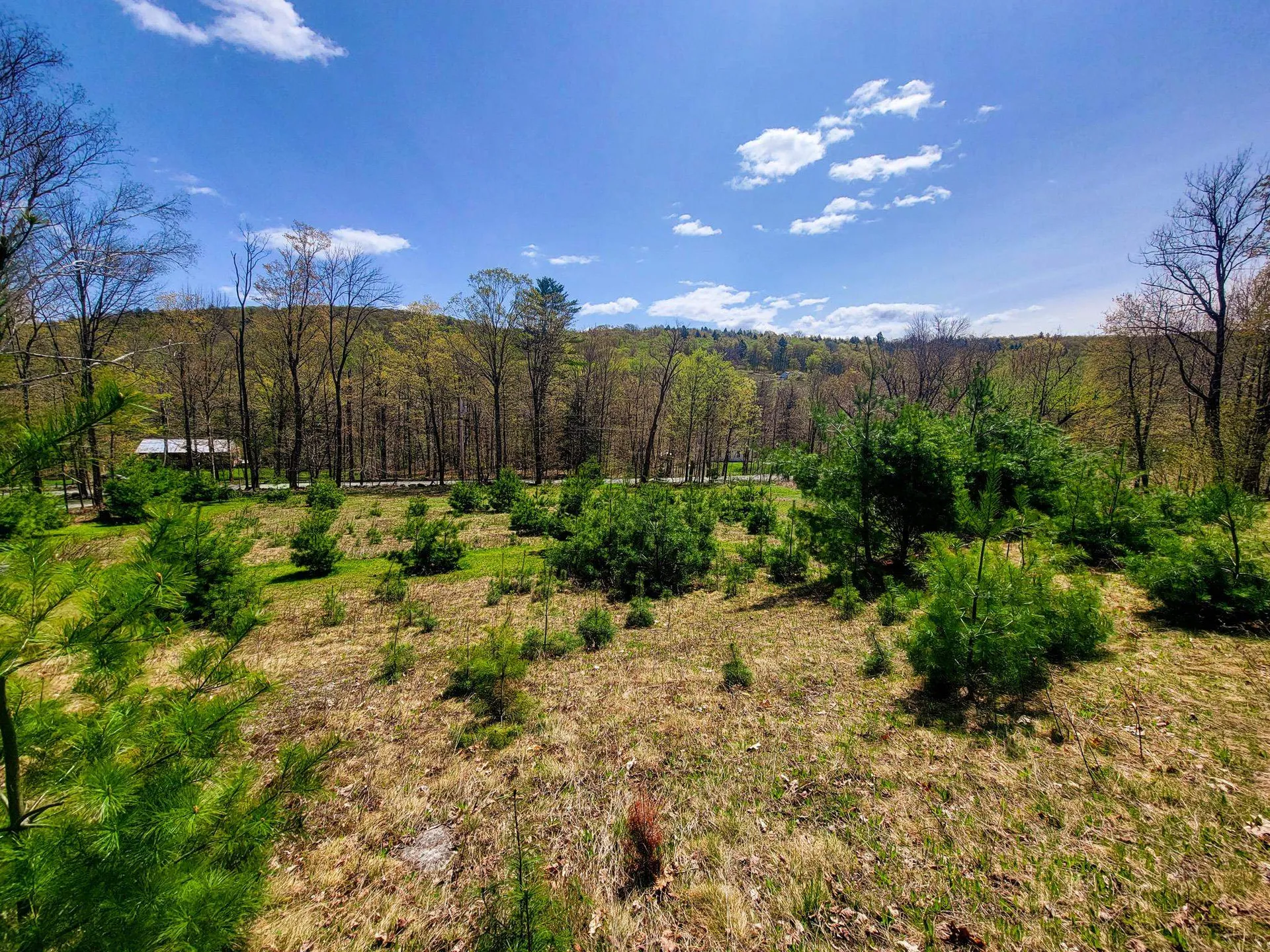 102 Turnpike Road Strafford VT 05072