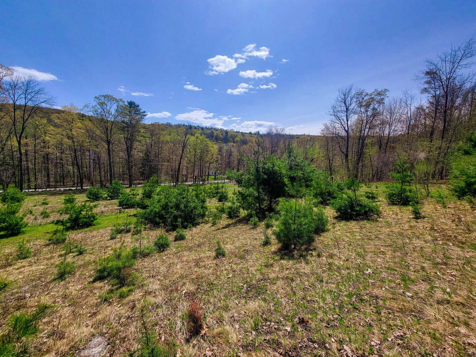 102 Turnpike Road Strafford VT 05072