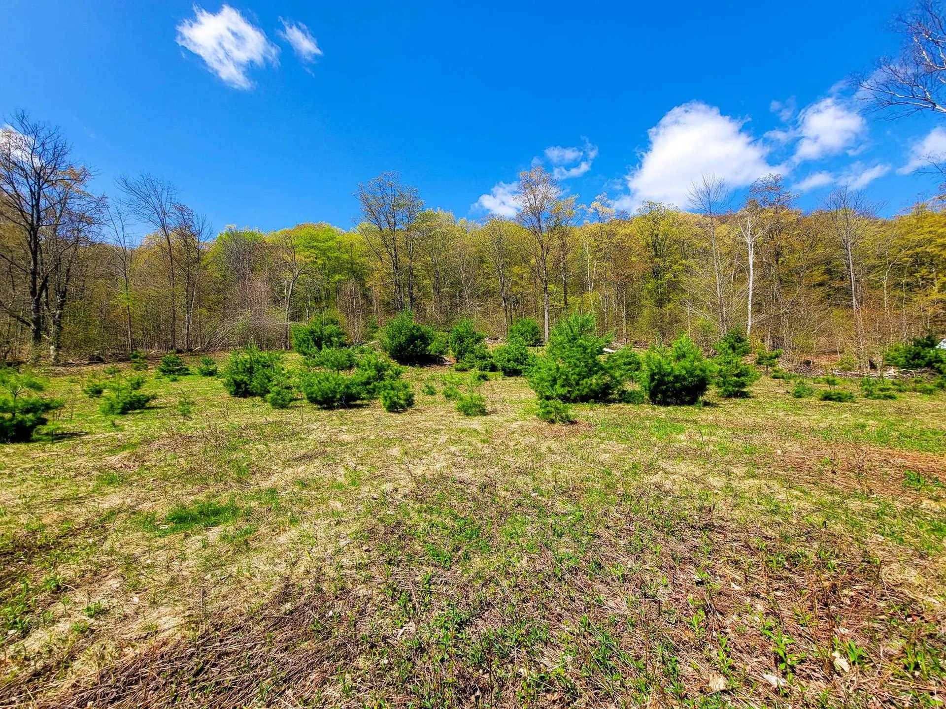 102 Turnpike Road Strafford VT 05072