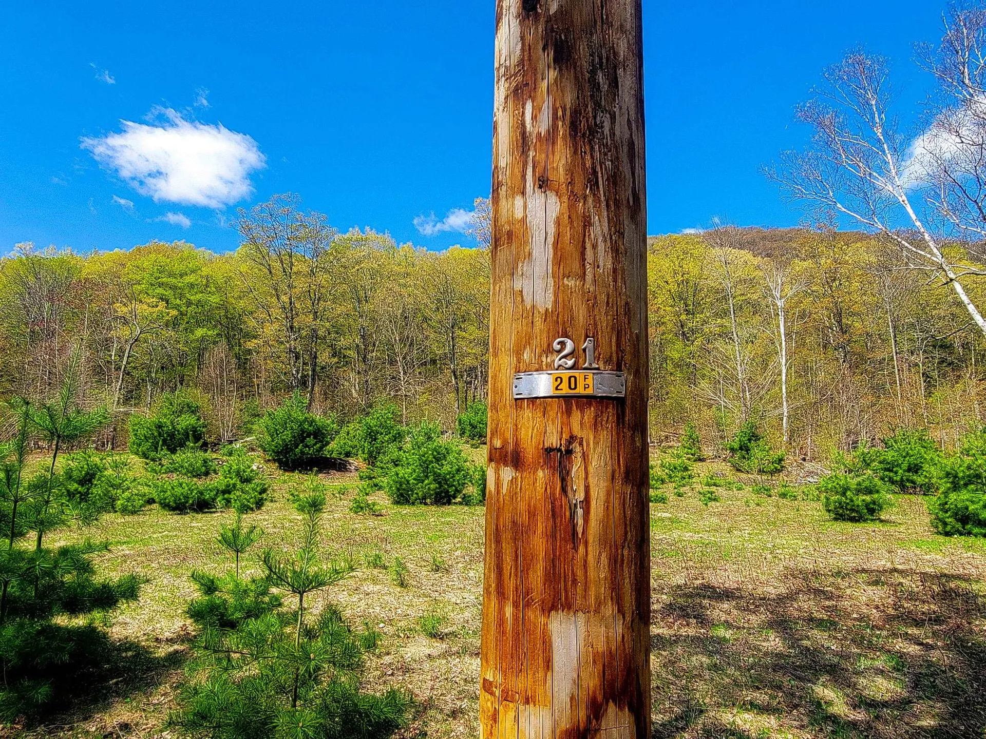 102 Turnpike Road Strafford VT 05072