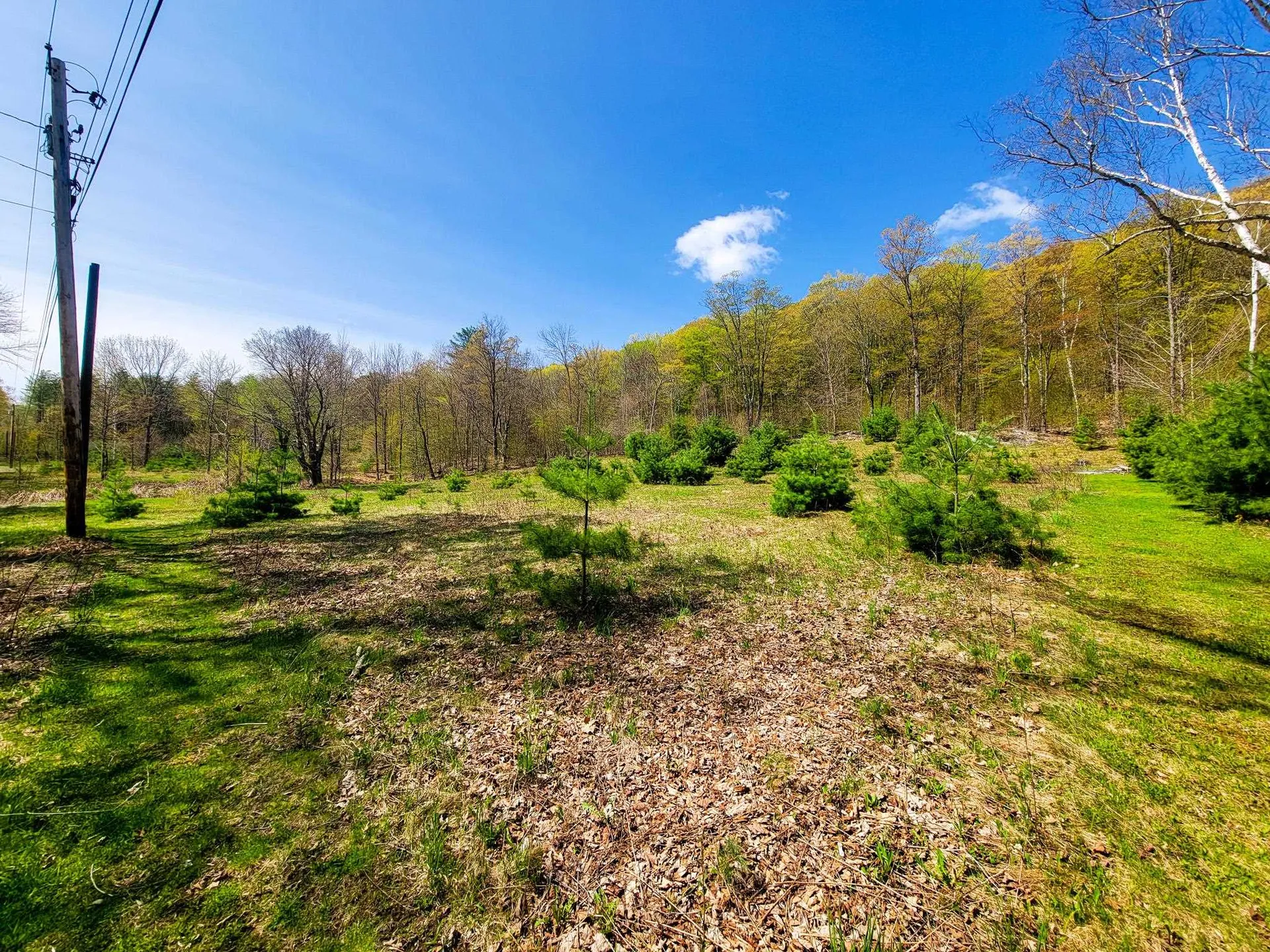 102 Turnpike Road Strafford VT 05072