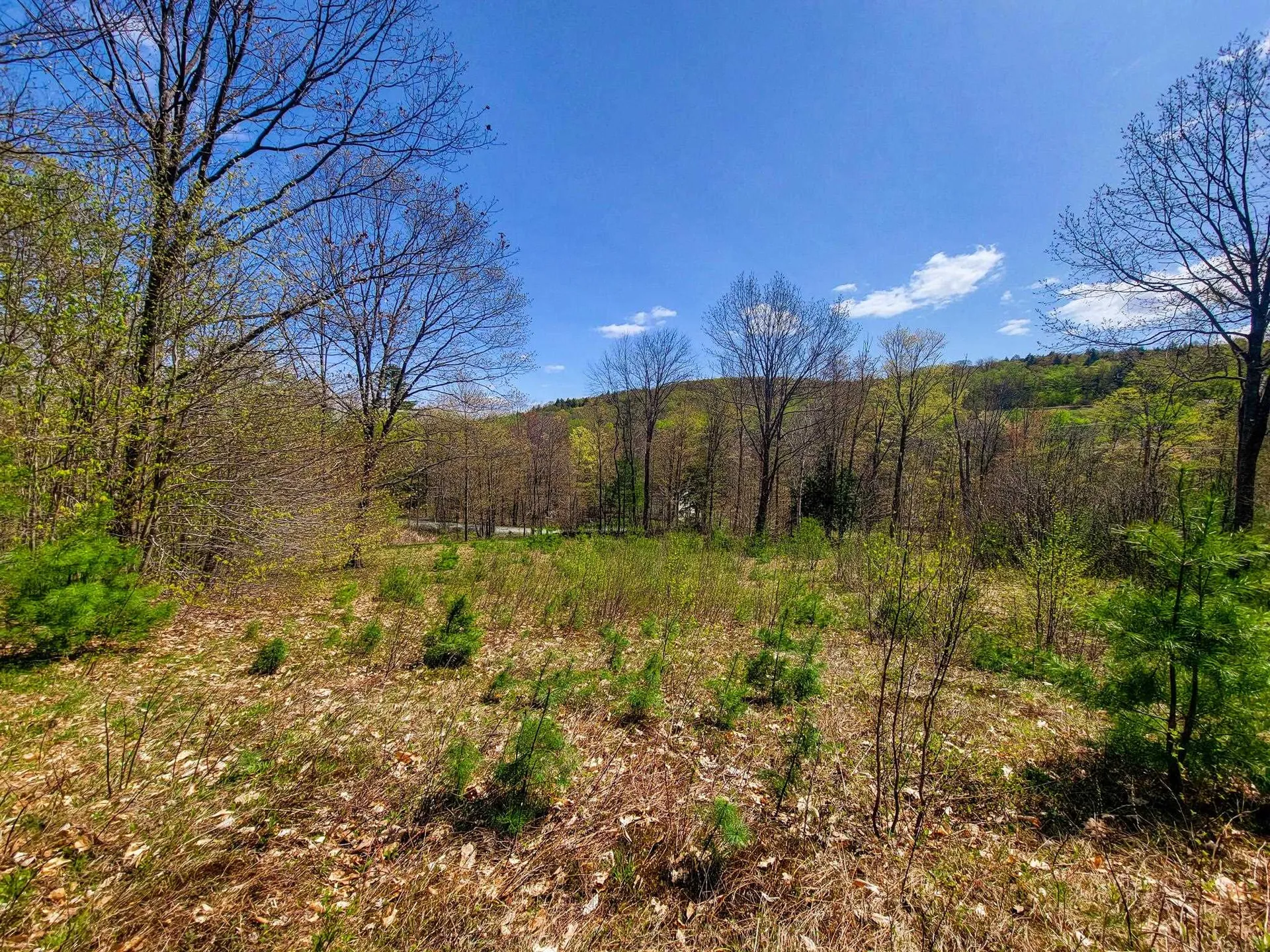 102 Turnpike Road Strafford VT 05072