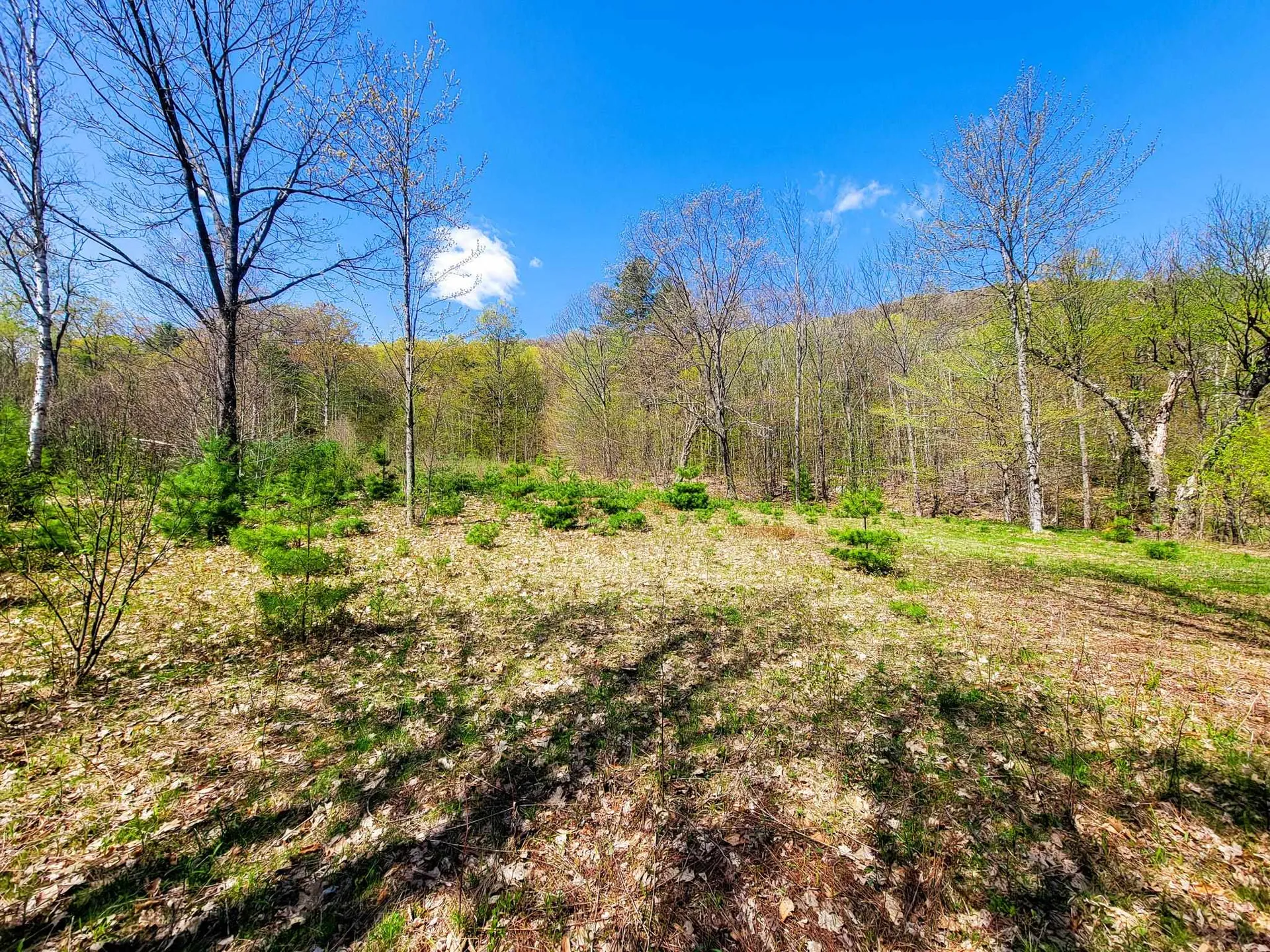 102 Turnpike Road Strafford VT 05072