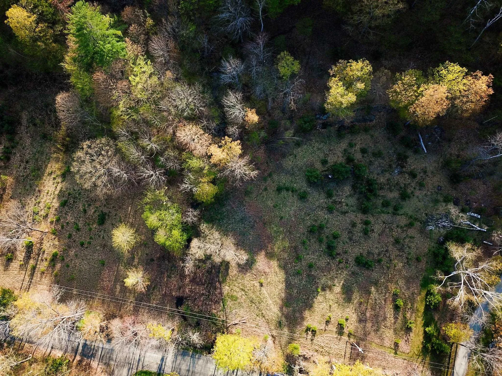 102 Turnpike Road Strafford VT 05072