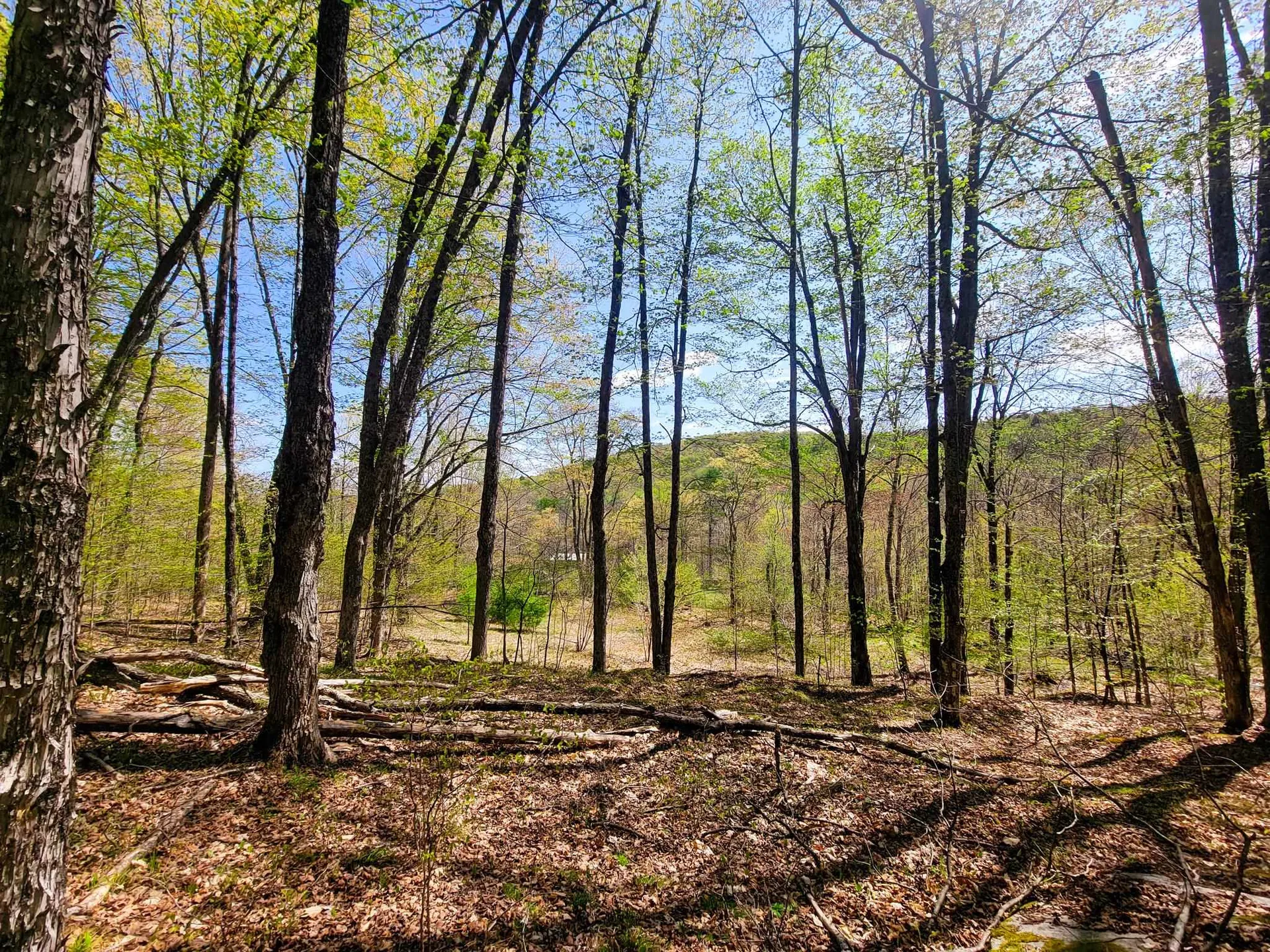 102 Turnpike Road Strafford VT 05072
