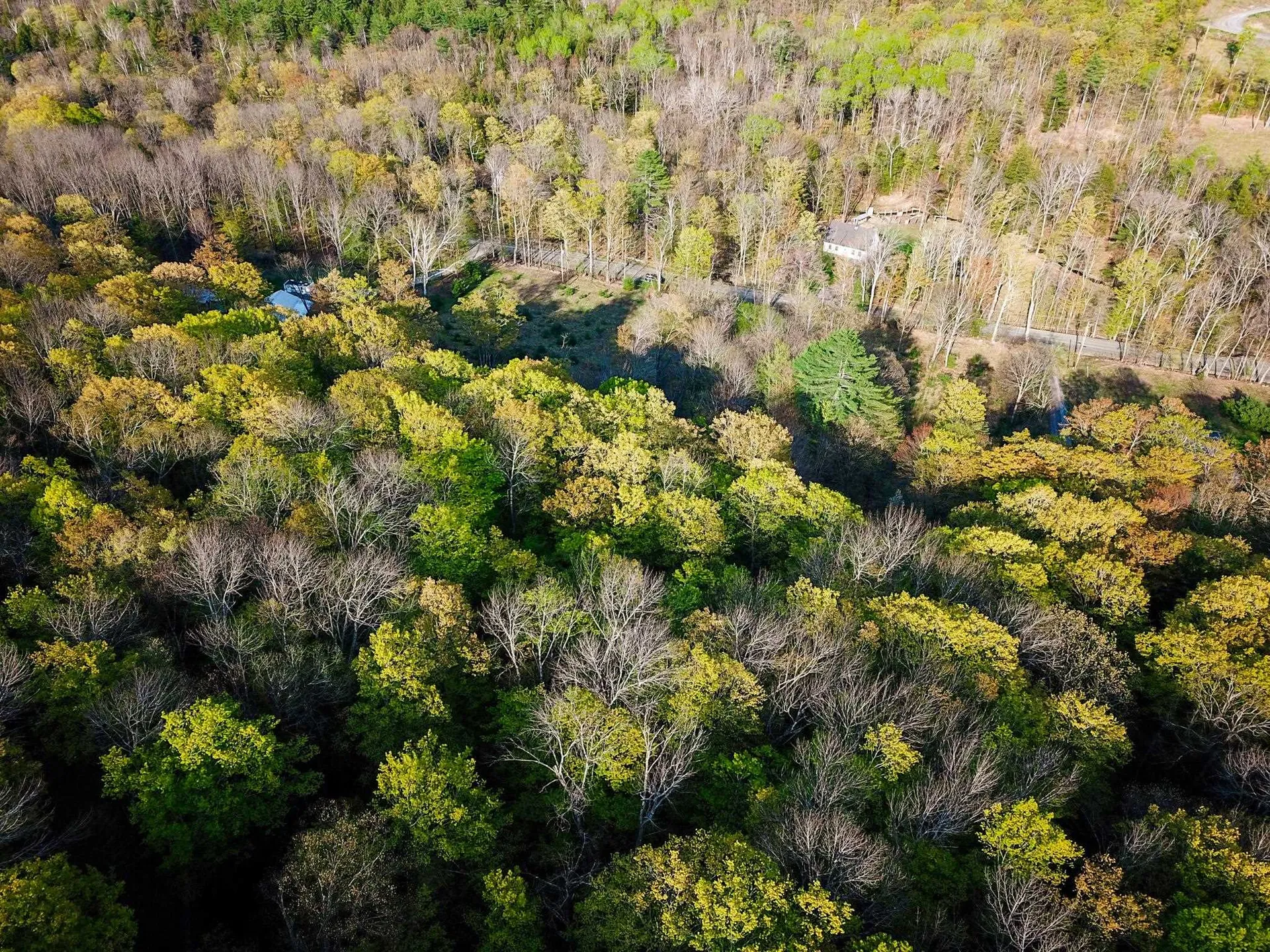 102 Turnpike Road Strafford VT 05072
