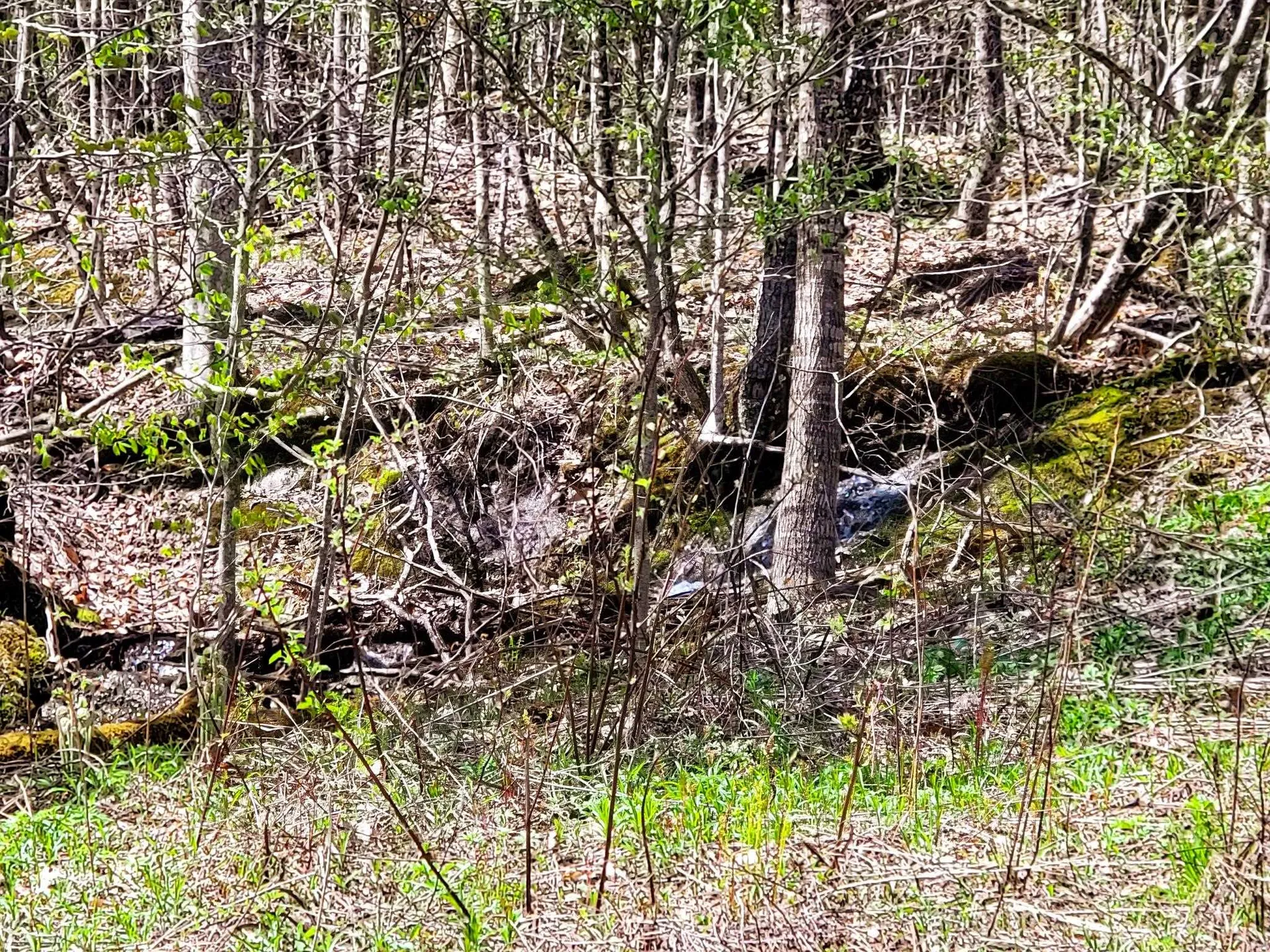 102 Turnpike Road Strafford VT 05072