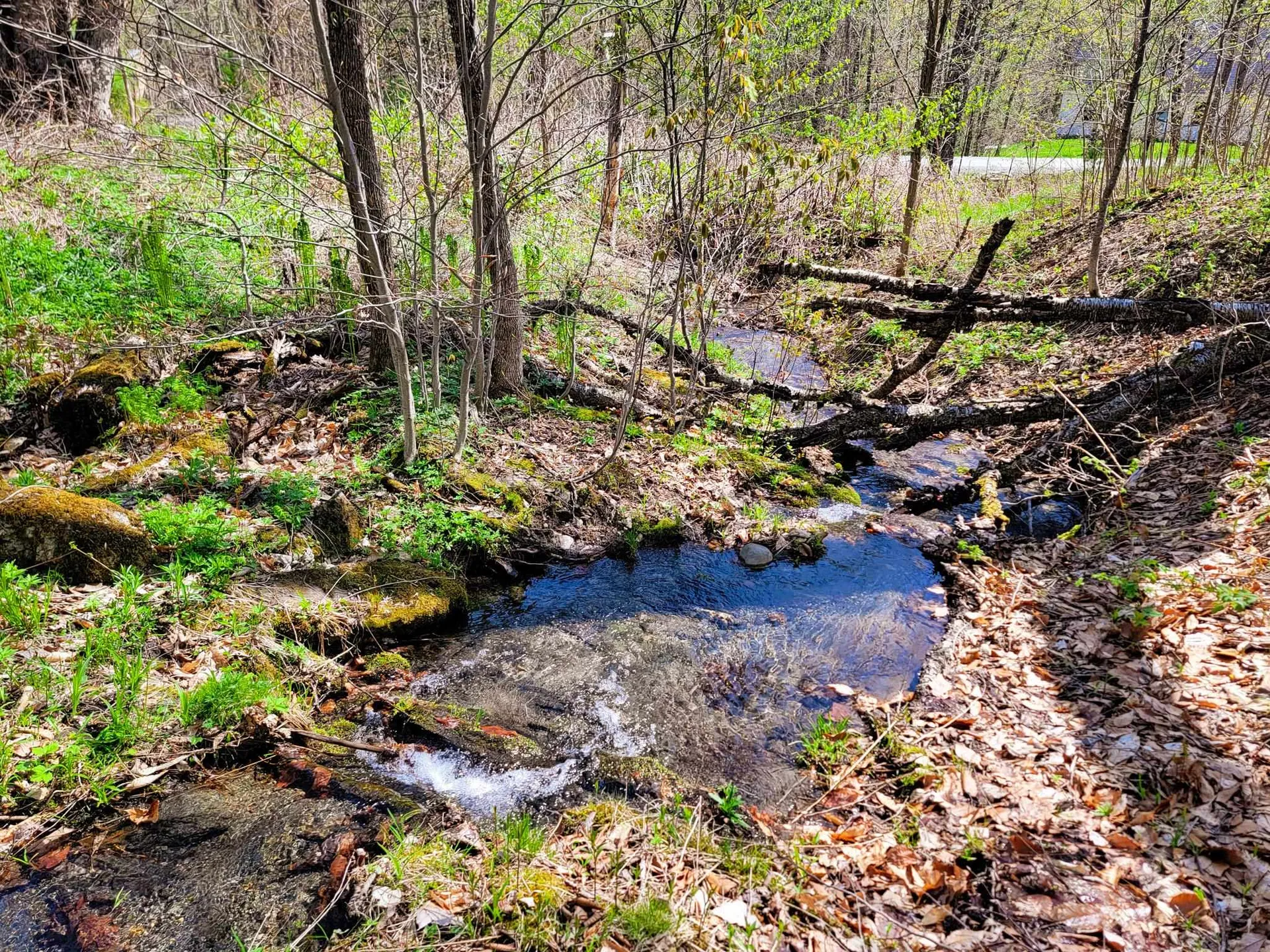 102 Turnpike Road Strafford VT 05072