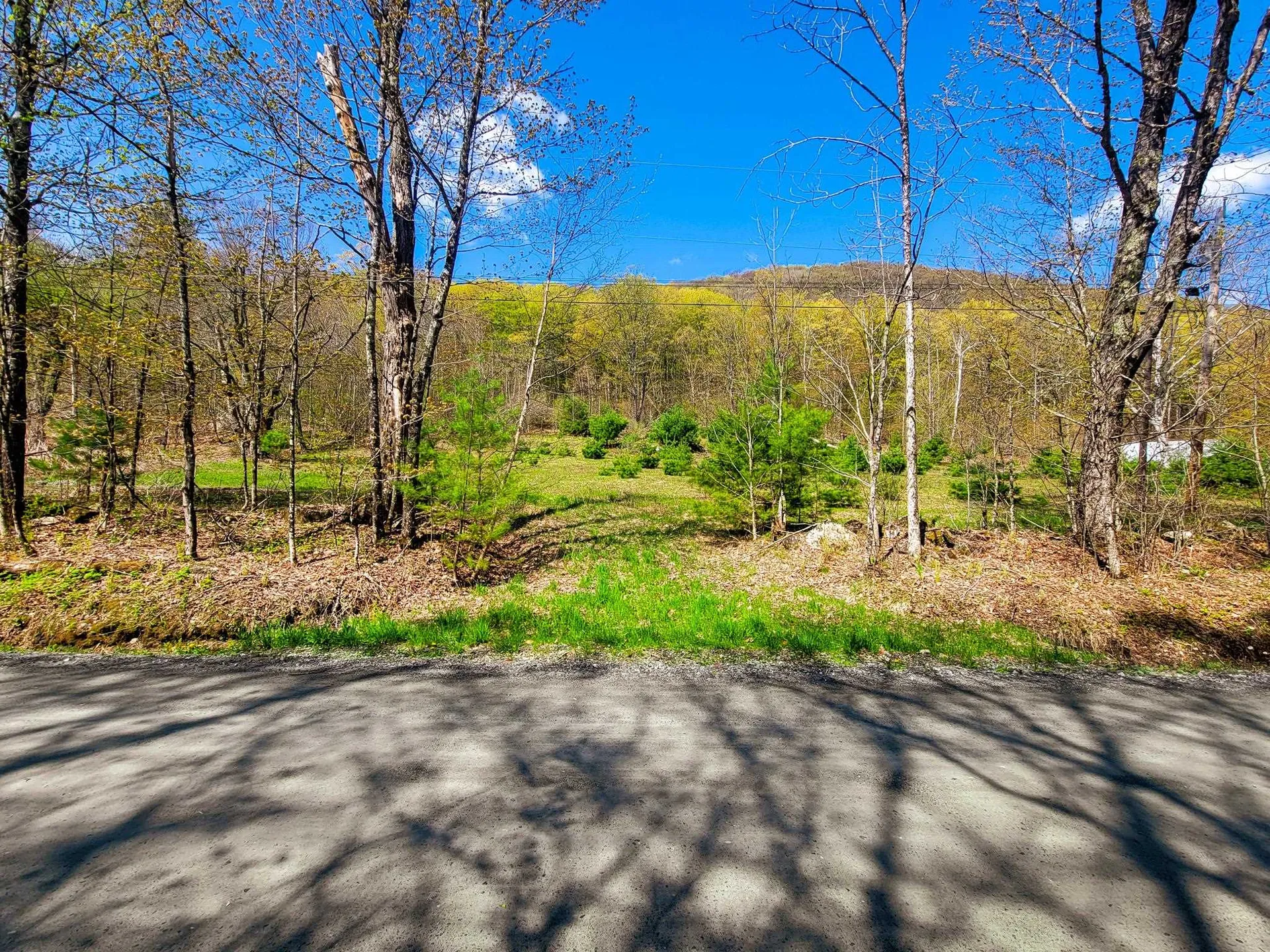 102 Turnpike Road Strafford VT 05072