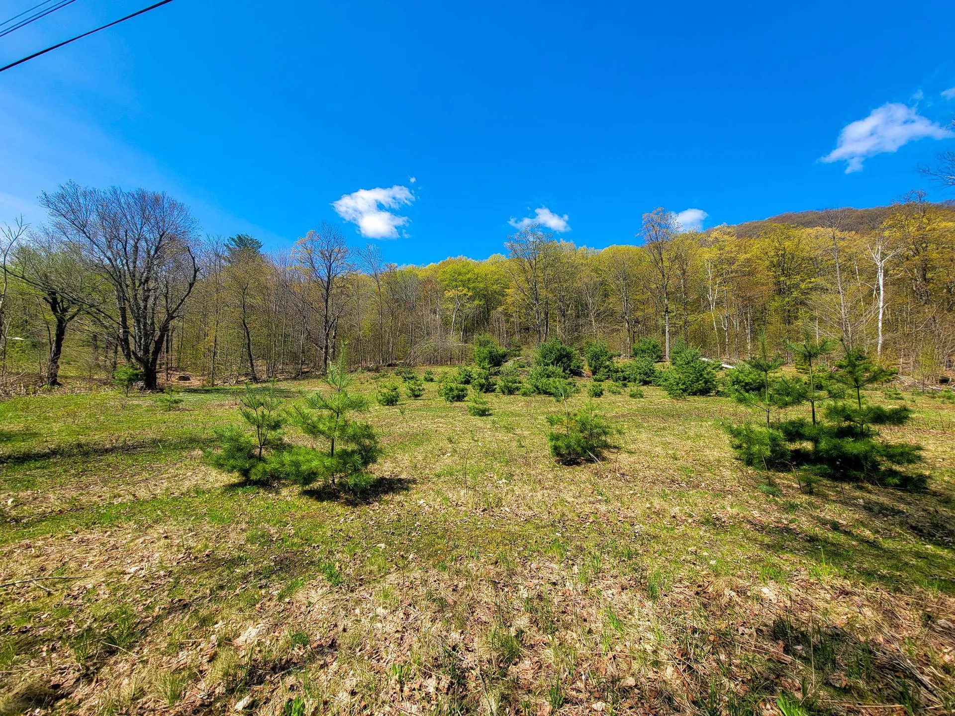 102 Turnpike Road Strafford VT 05072