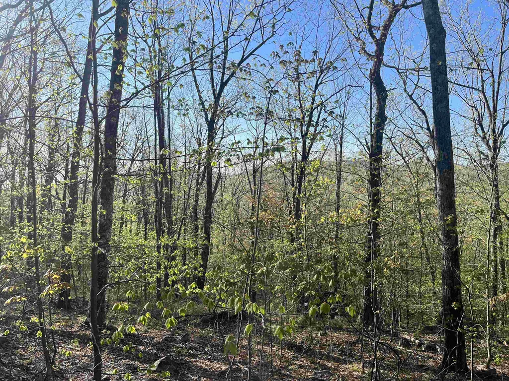 21 Upper Lakeview Drive Madison NH 03849