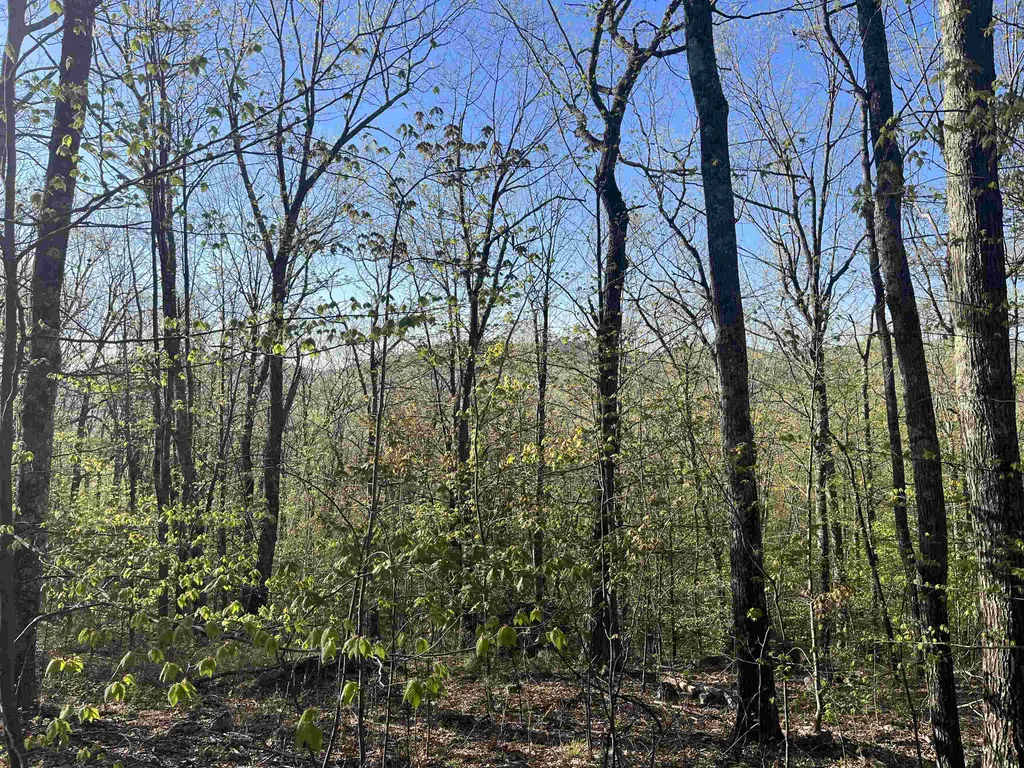 21 Upper Lakeview Drive Madison NH 03849