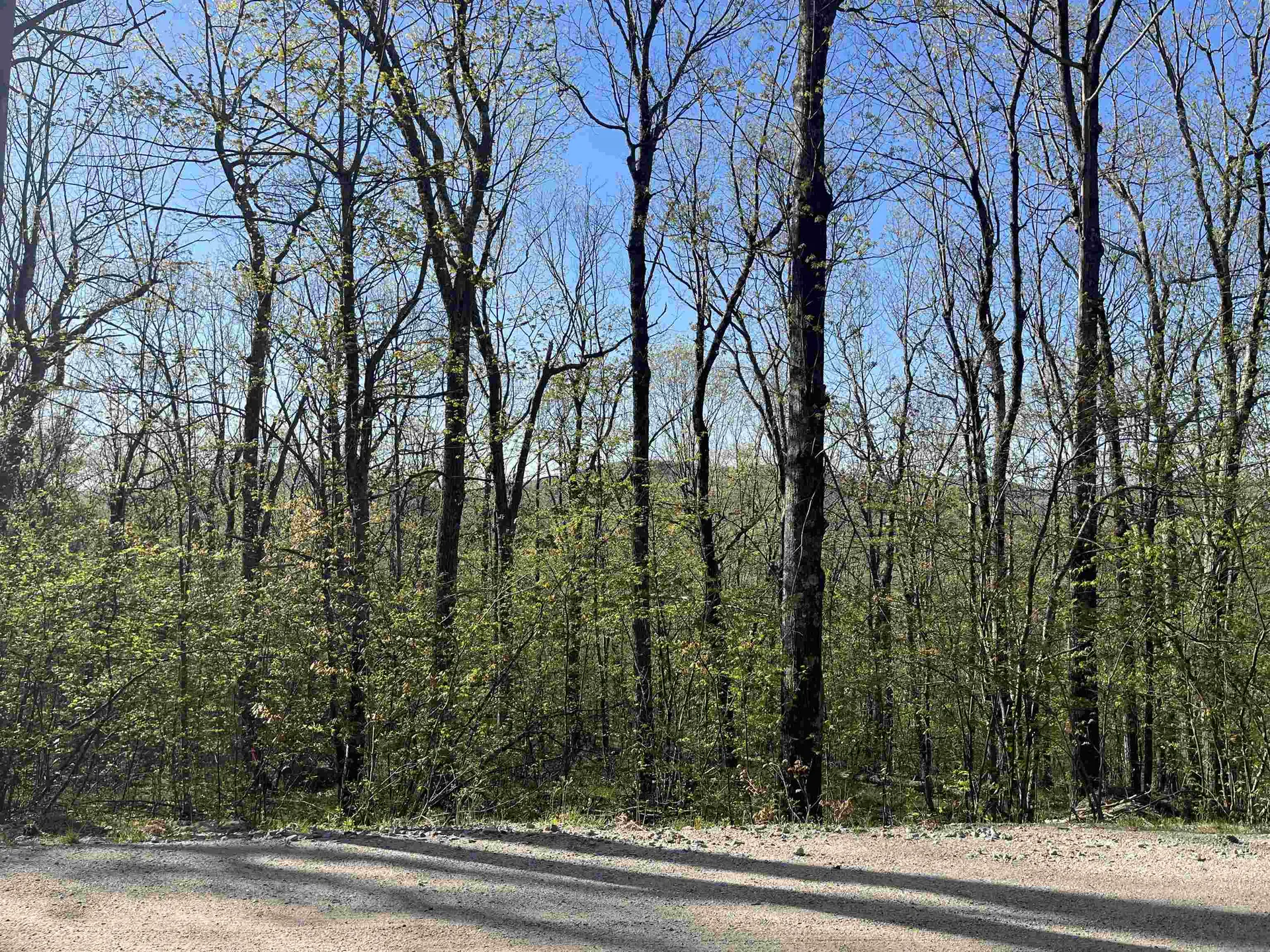 21 Upper Lakeview Drive Madison NH 03849