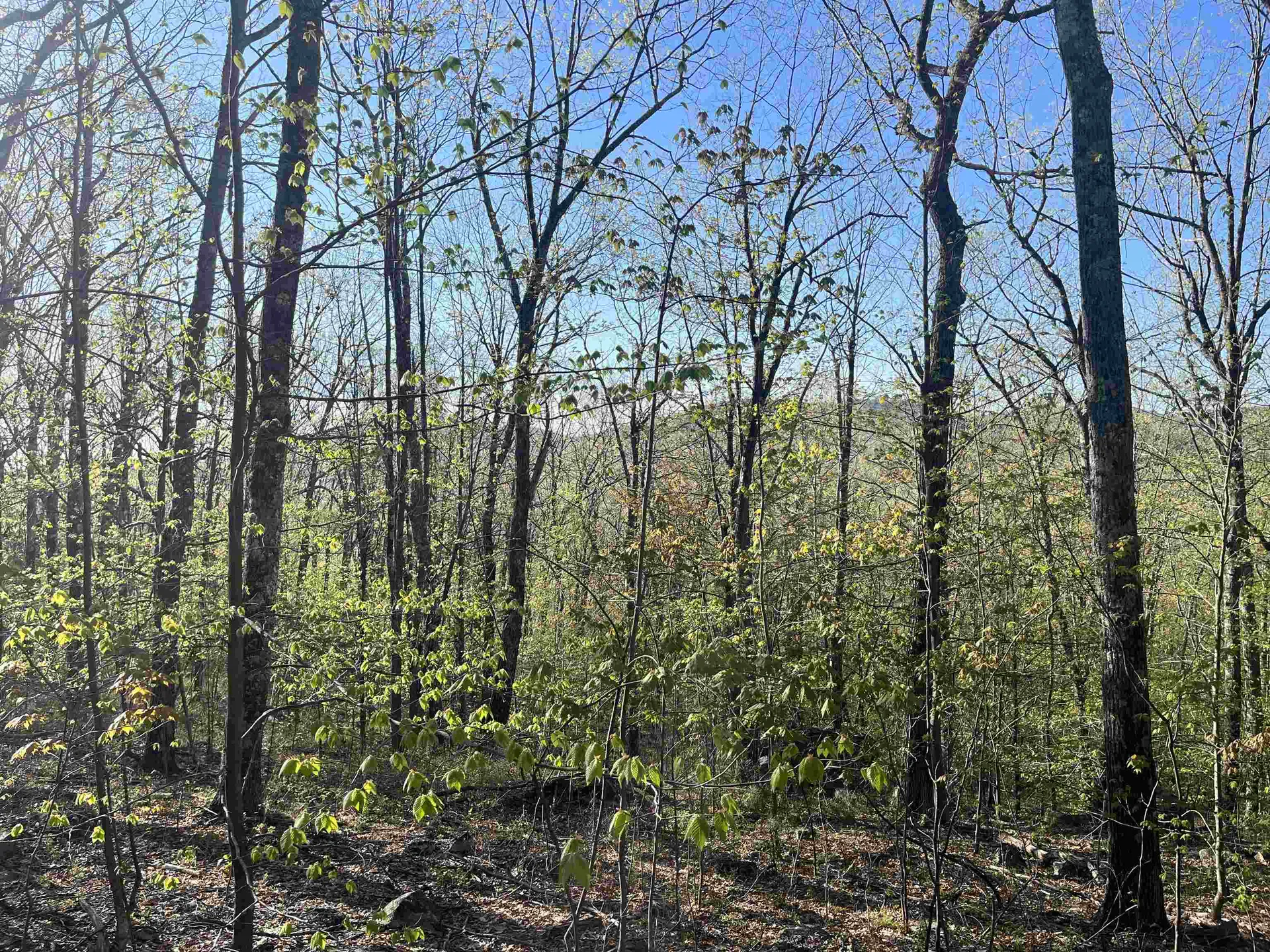 21 Upper Lakeview Drive Madison NH 03849