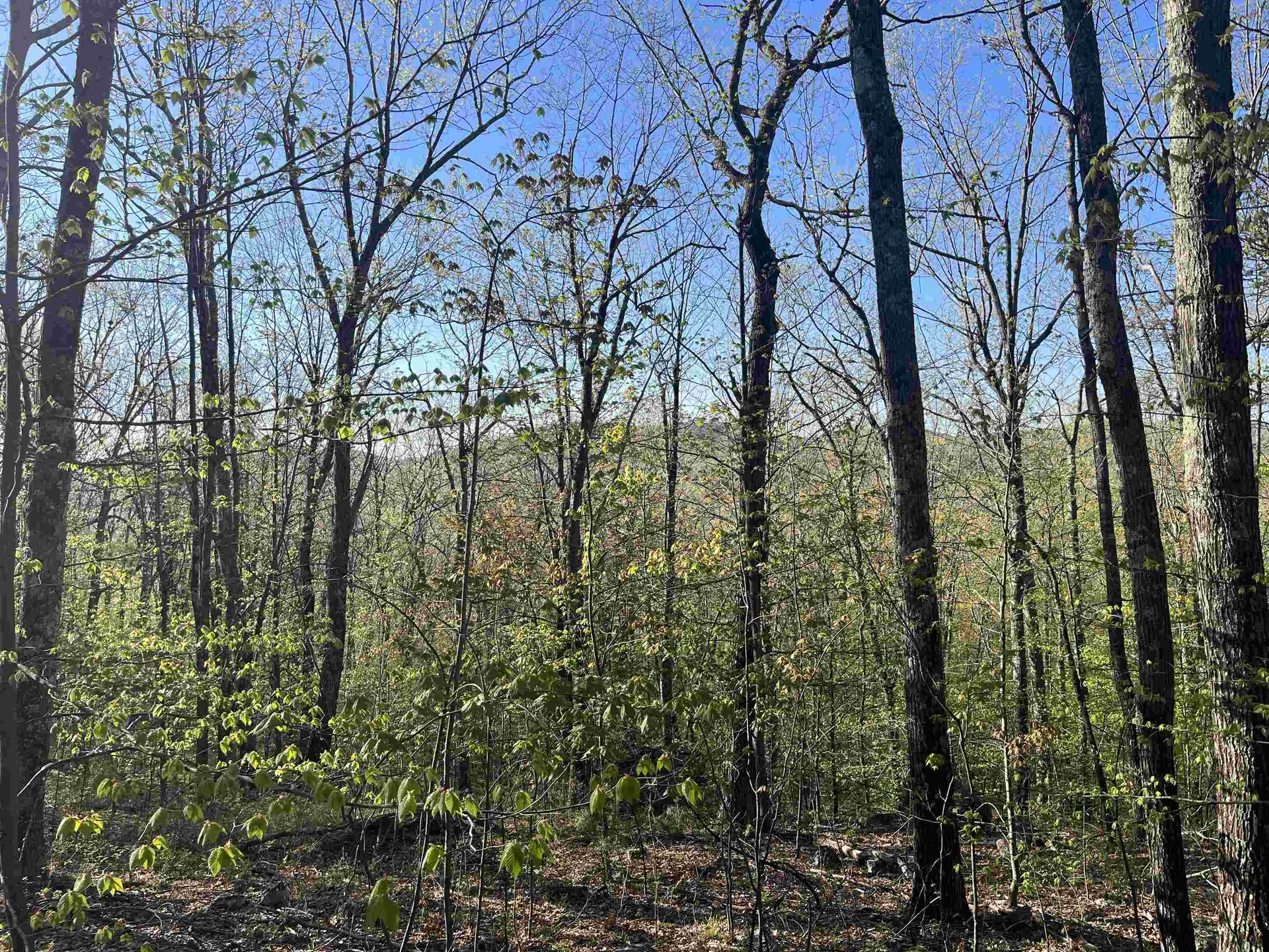 21 Upper Lakeview Drive Madison NH 03849