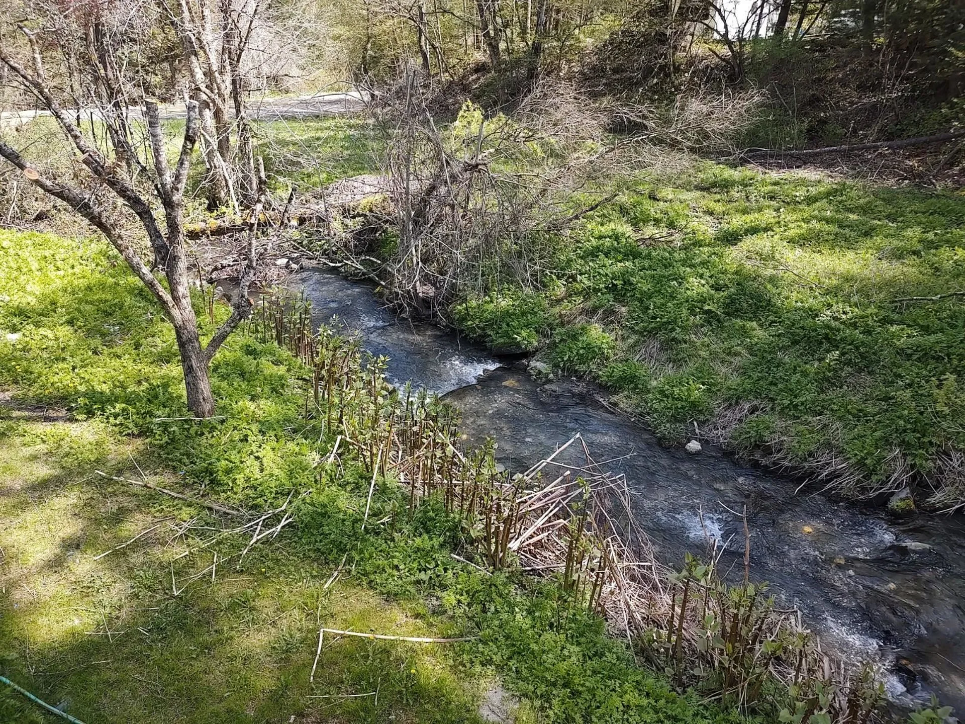 21 Rix Road Royalton VT 05068