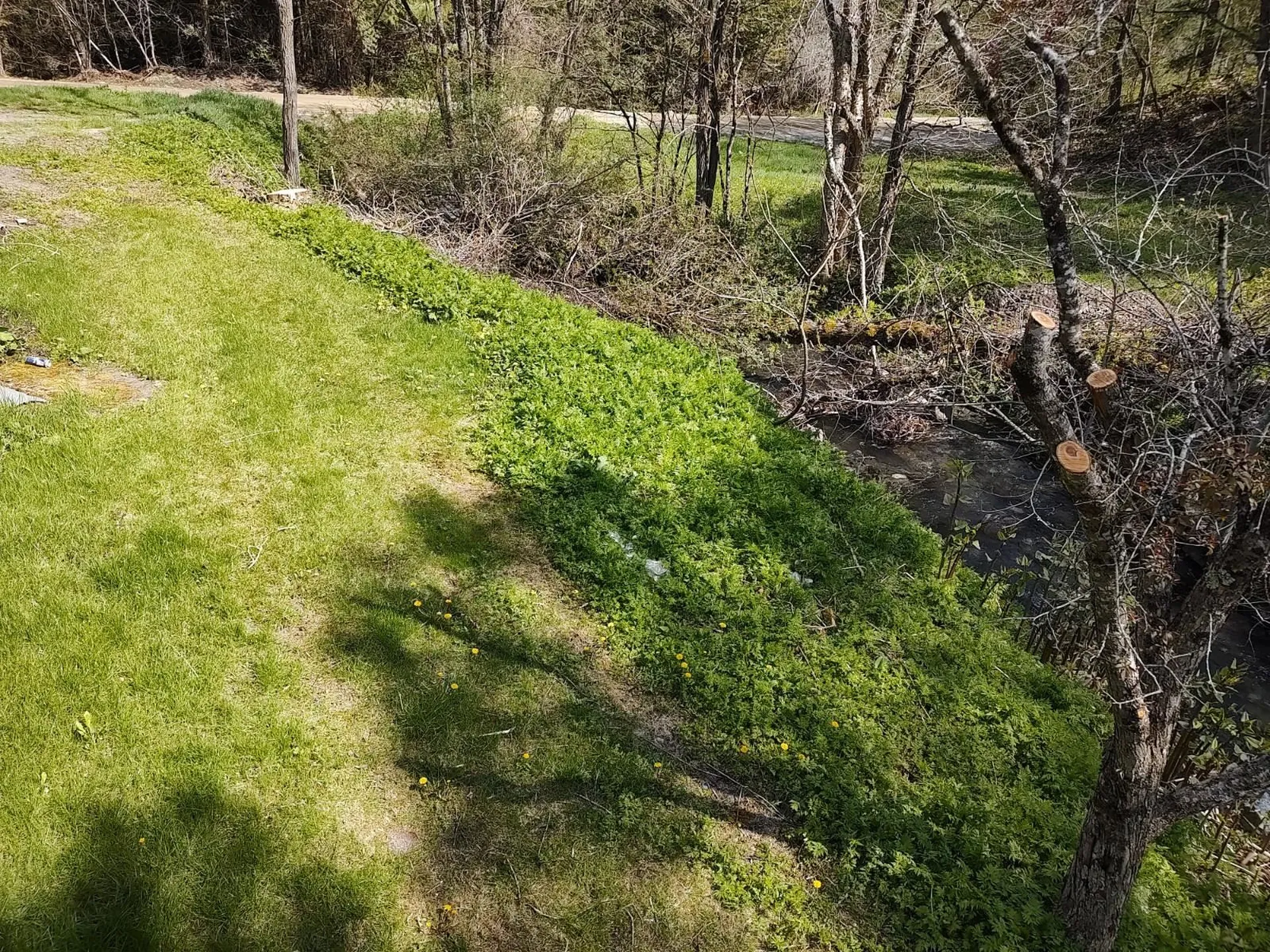 21 Rix Road Royalton VT 05068