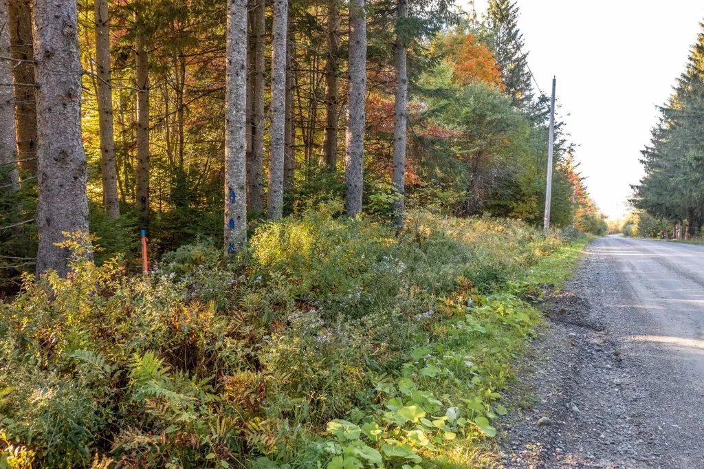 500 Hardwood Flats Road Elmore VT 05657