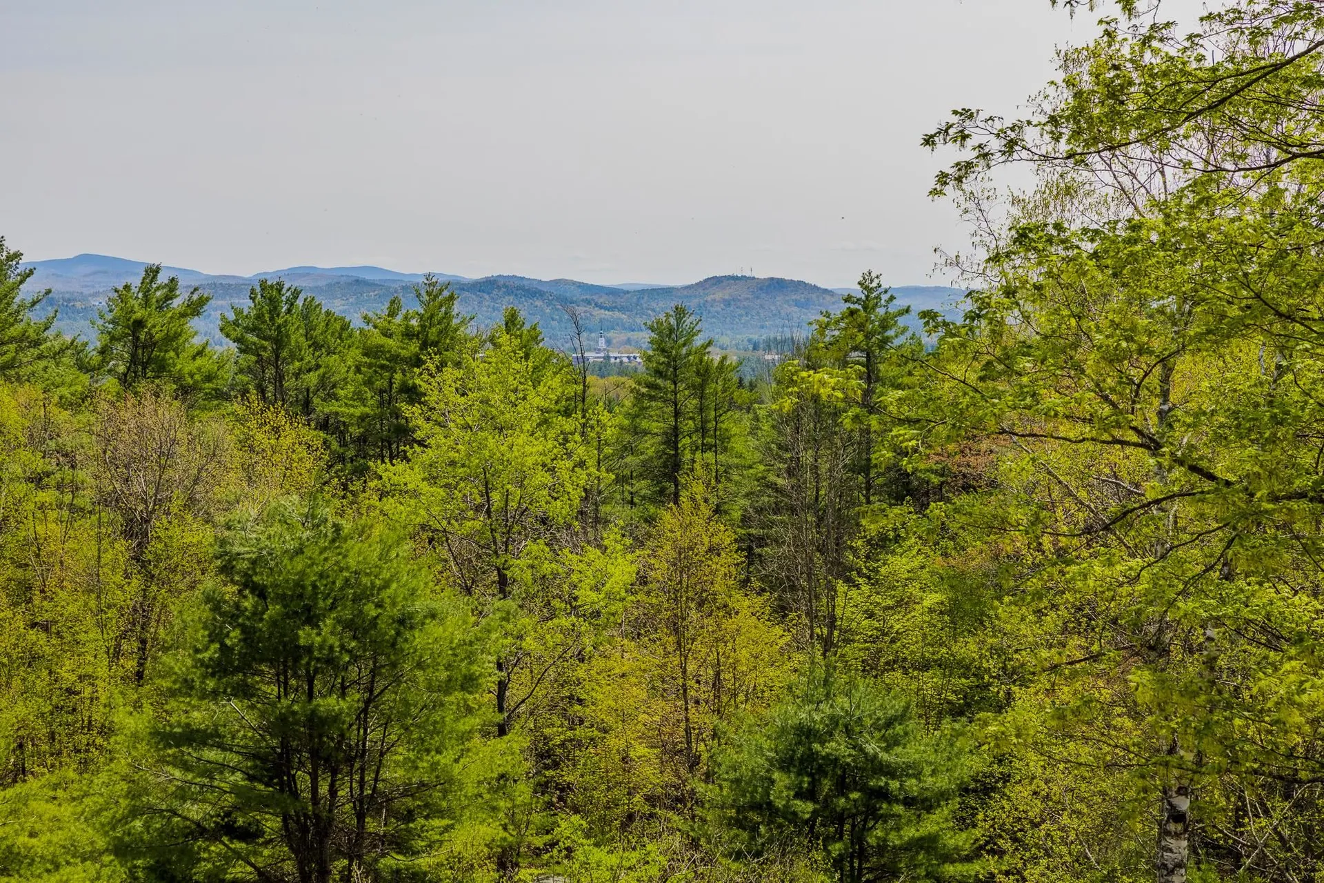 153 Upper Pasture Road Norwich VT 05055