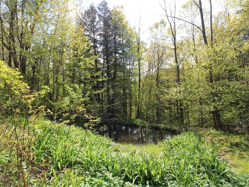945 Dugway Road Richmond VT 05477