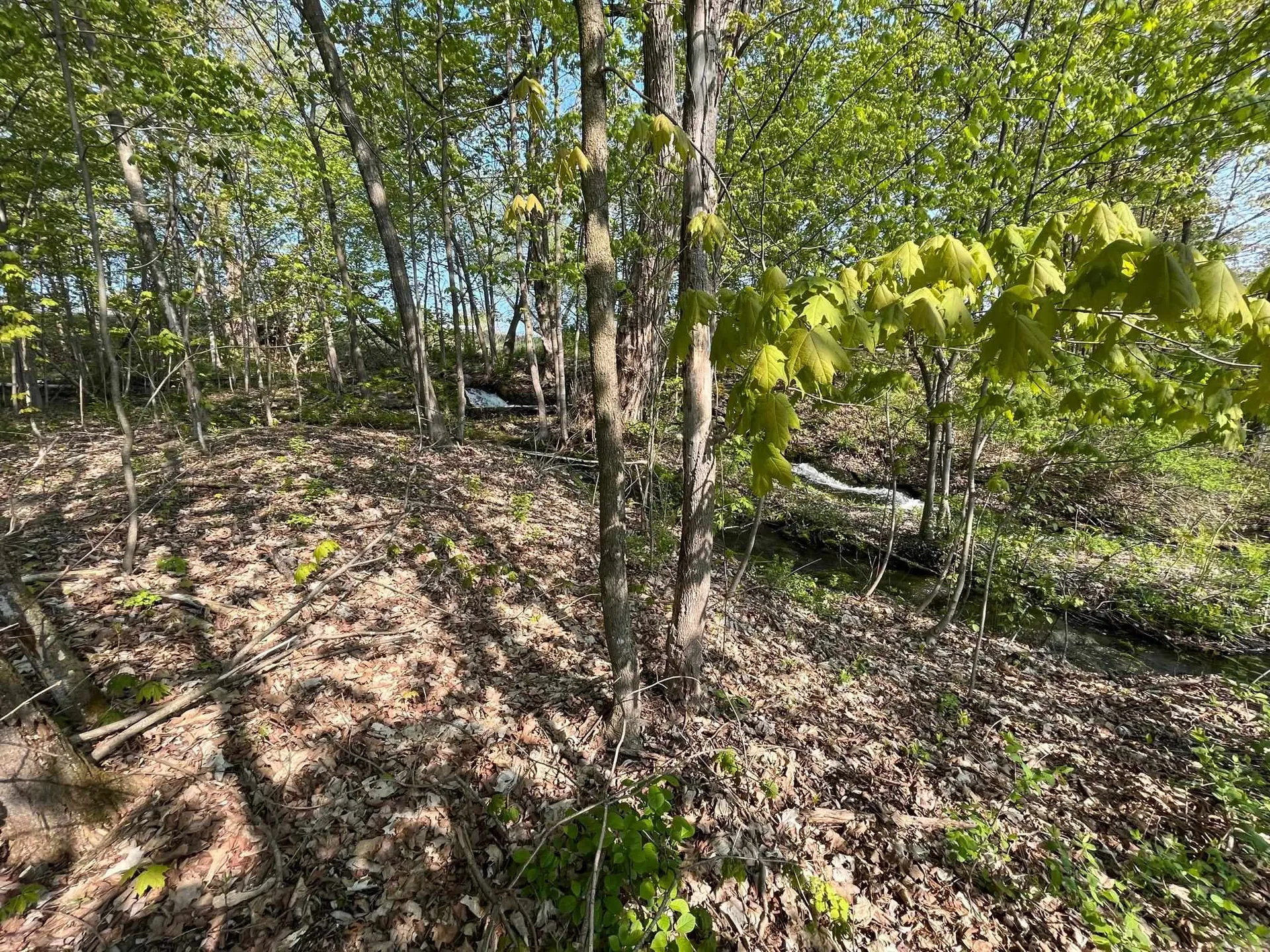 27 Sodom Road Georgia VT 05468