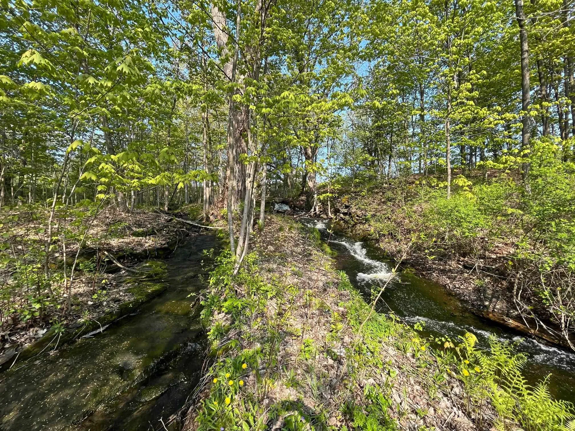 27 Sodom Road Georgia VT 05468
