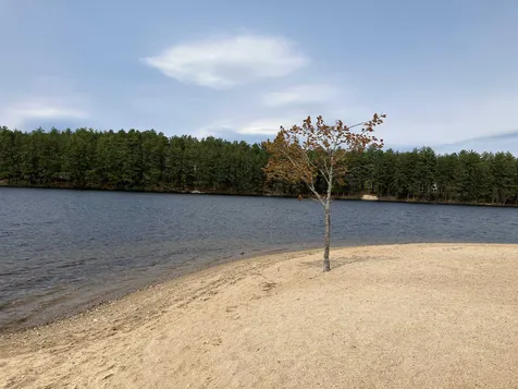 00 Mcgrew Drive Tamworth NH 03886