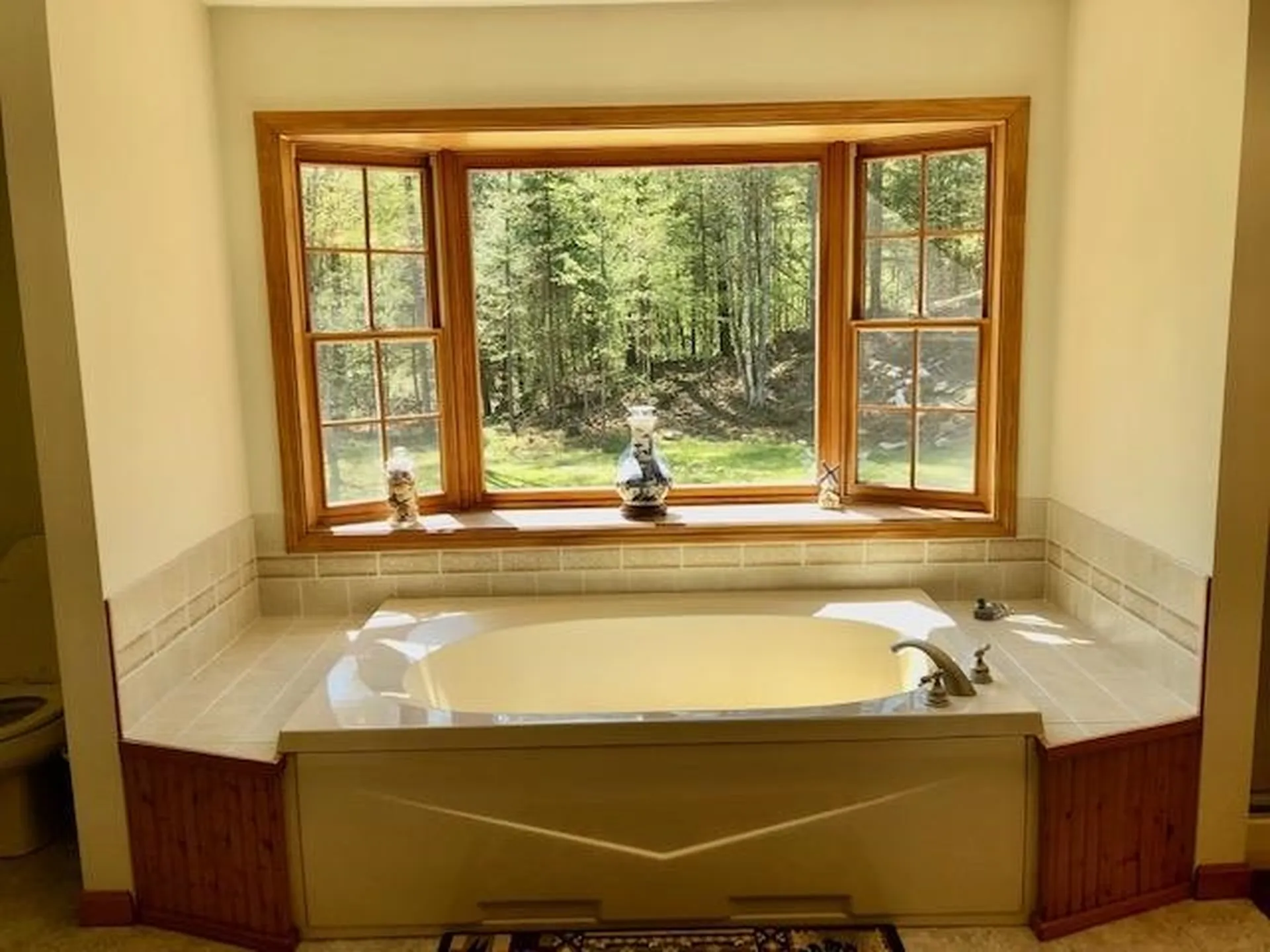 8 Wilderness Way Bath NH 03740