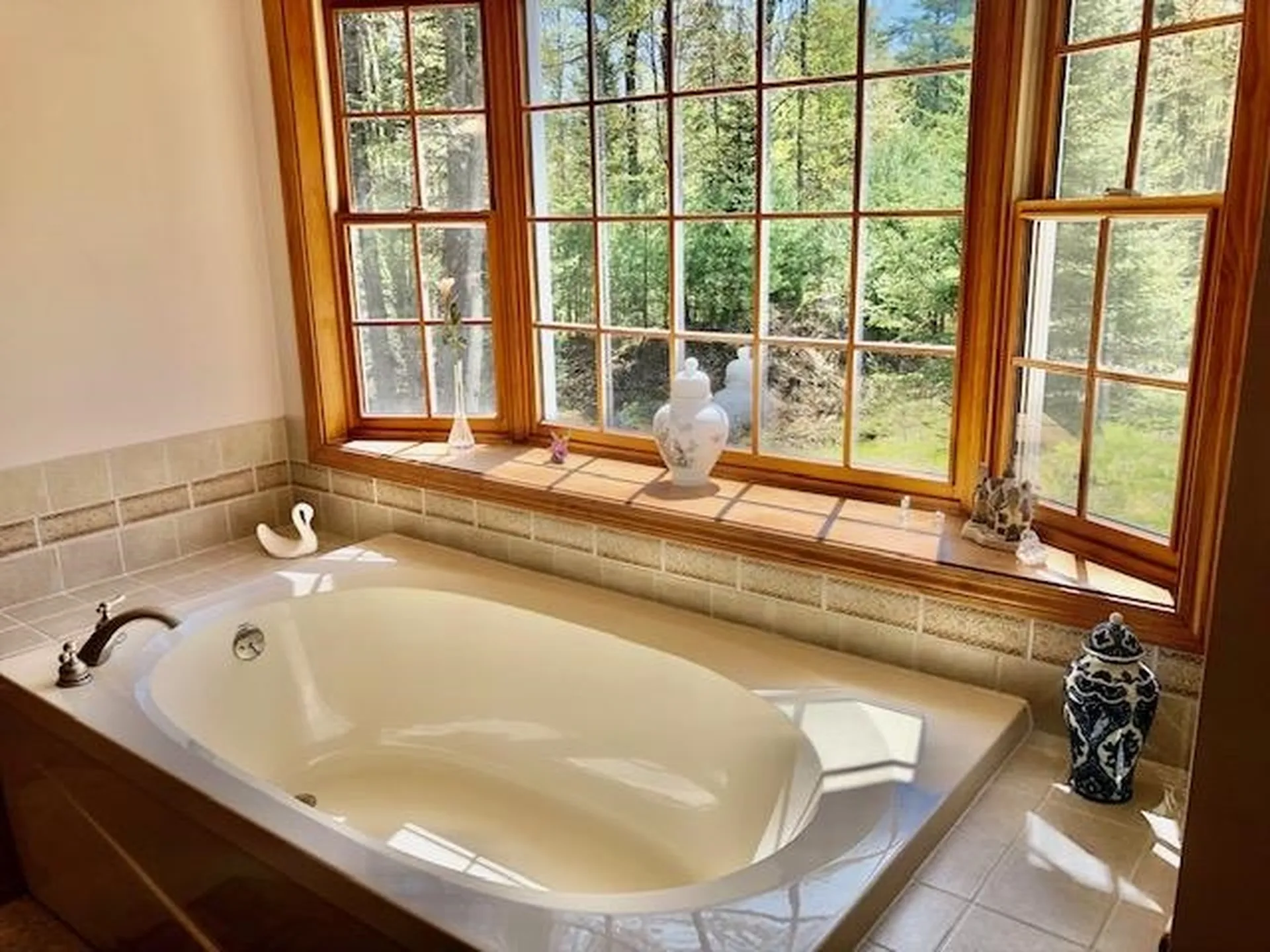 8 Wilderness Way Bath NH 03740