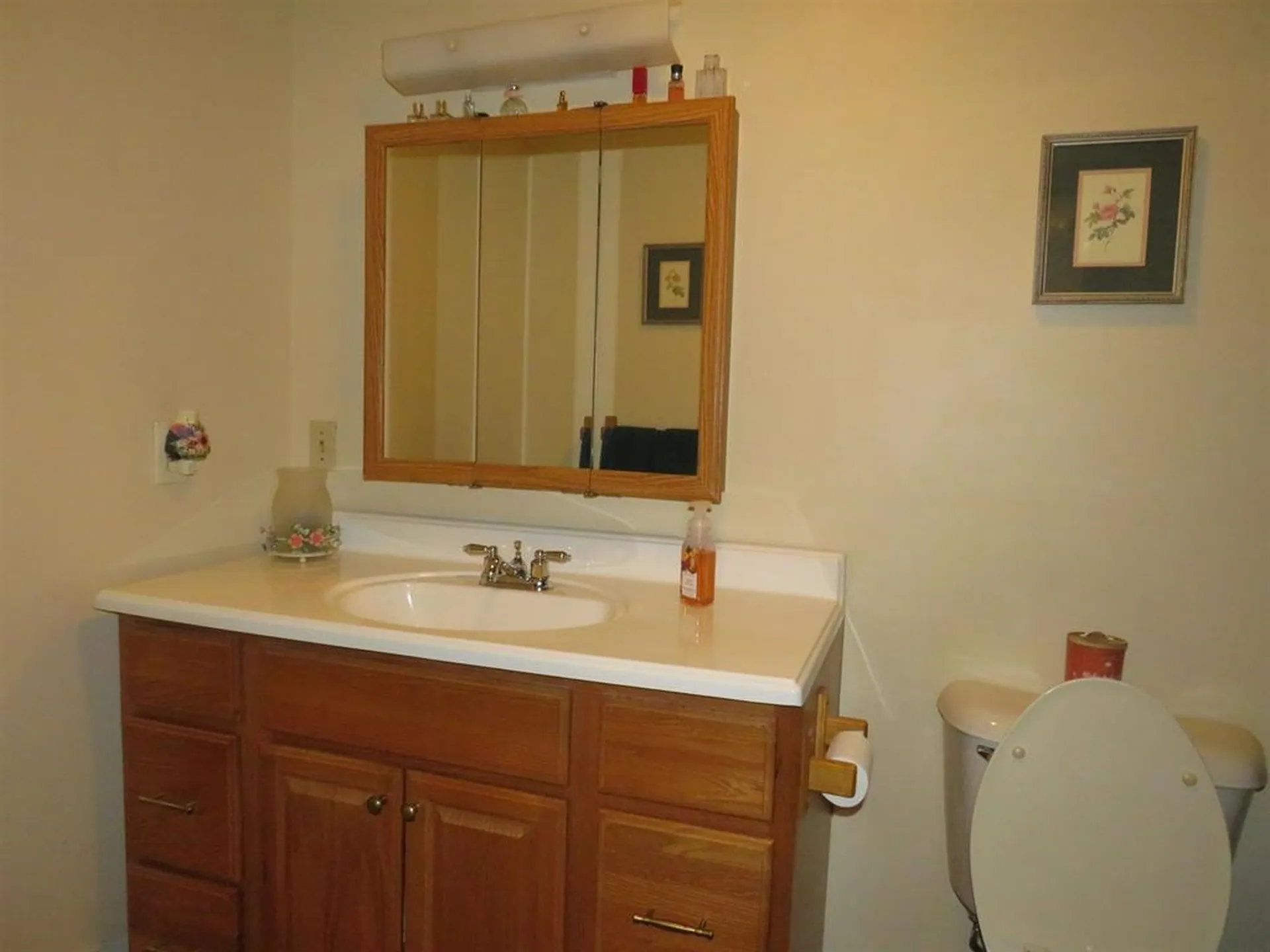 127 Lake Street Bristol NH 03222