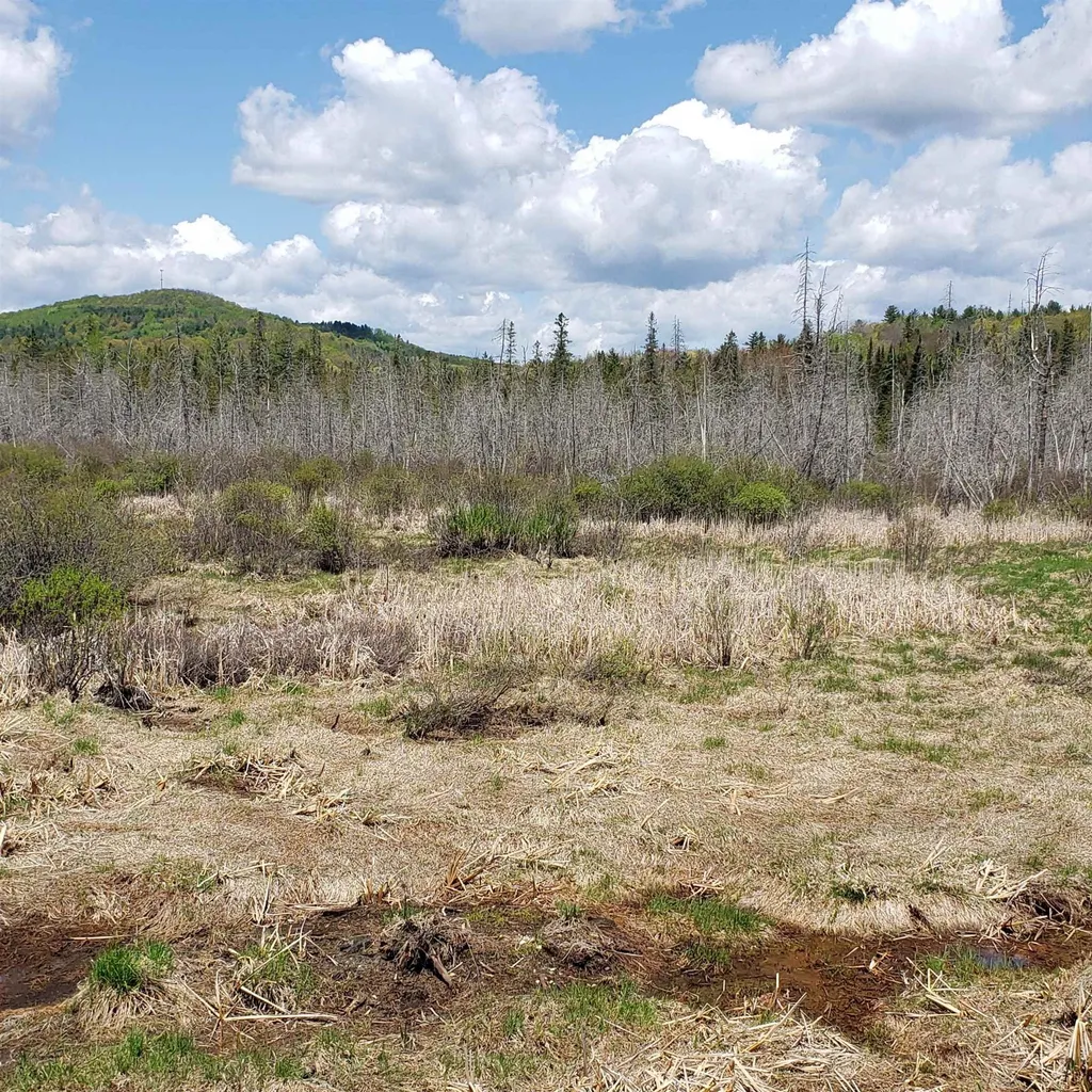 Tbd Vt Us Route 302 Barre Town VT 05641