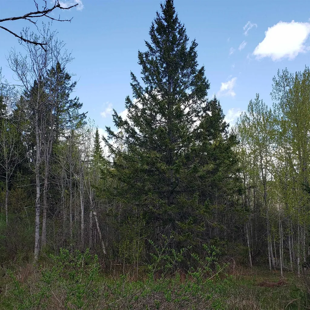 Tbd Vt Us Route 302 Barre Town VT 05641